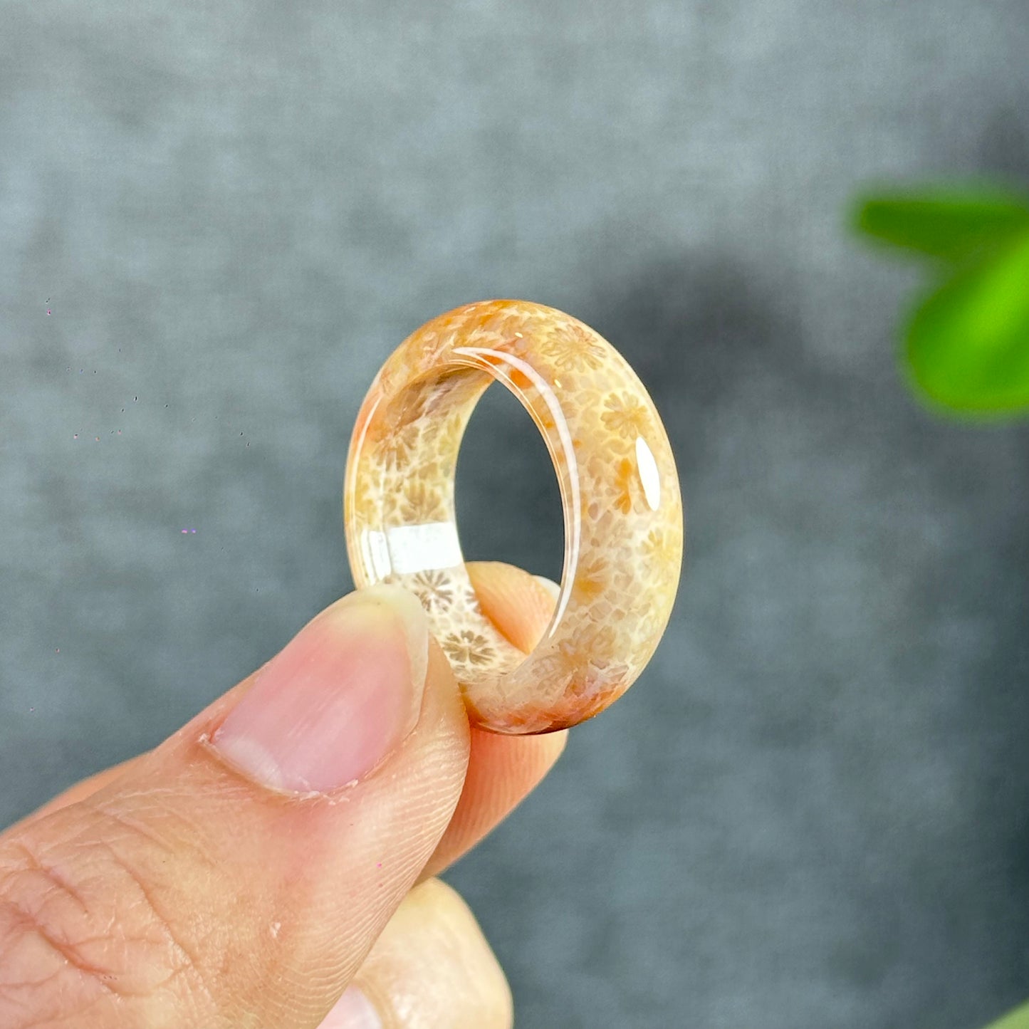 Natural Coral Fossil Ring Size 1.9