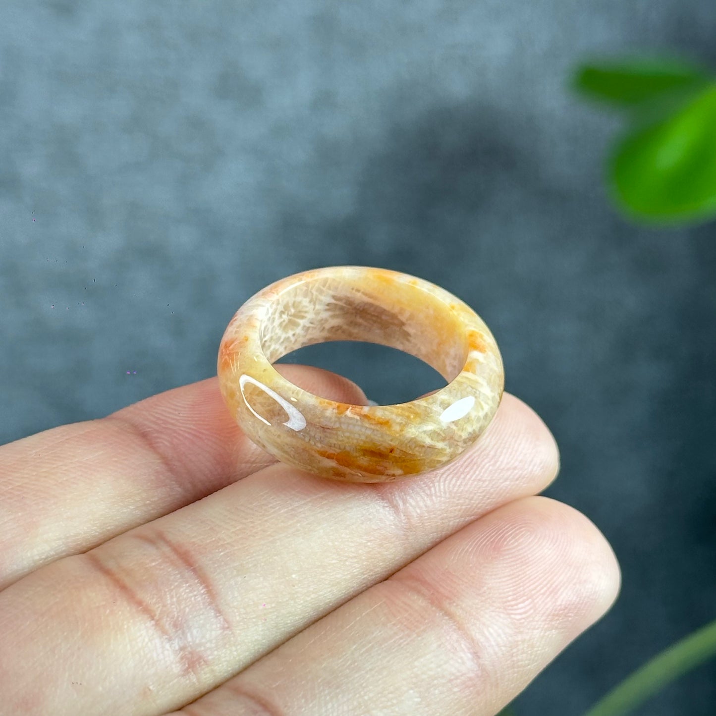 Natural Coral Fossil Ring Size 1.9