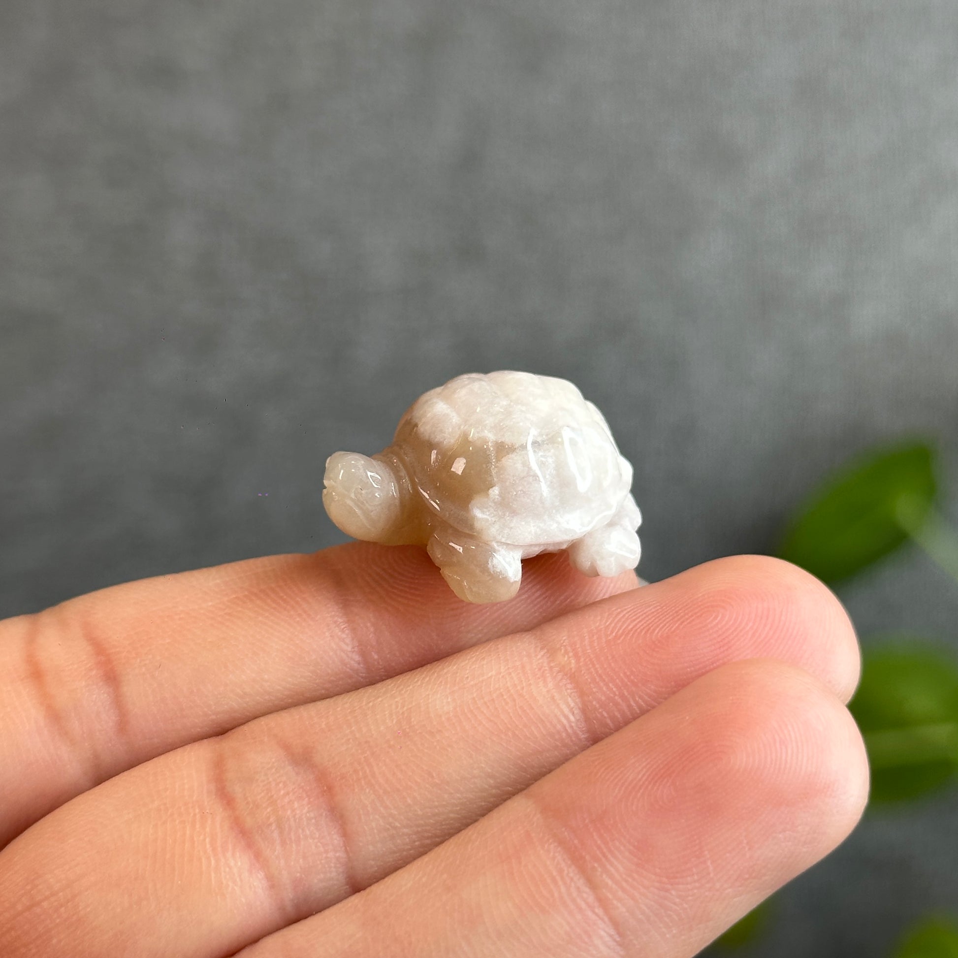 Floral Agate Turtle Carving | Precious Gems