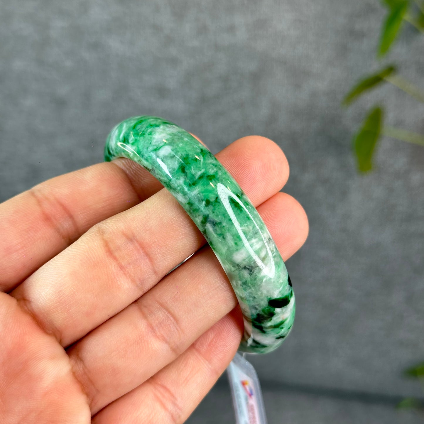 Natural Apple Green Jadeite Jade VIP Bangle Leaf Style Size 56 mm
