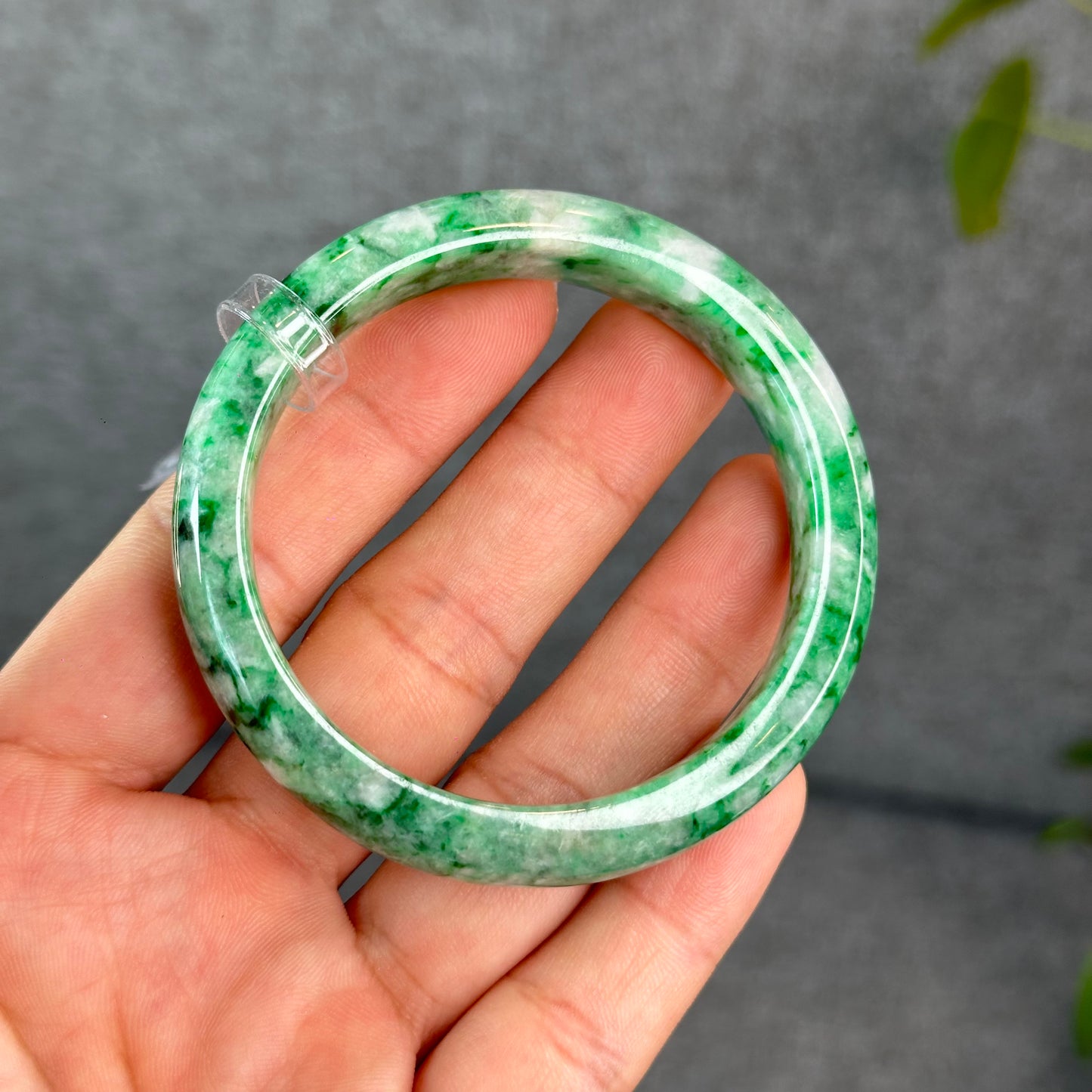 Natural Apple Green Jadeite Jade VIP Bangle Leaf Style Size 53 mm
