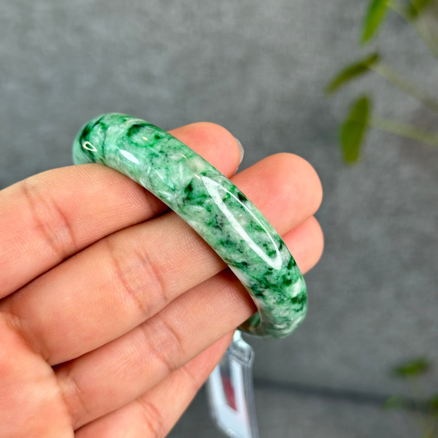 Natural Apple Green Jadeite Jade VIP Bangle Leaf Style Size 53 mm