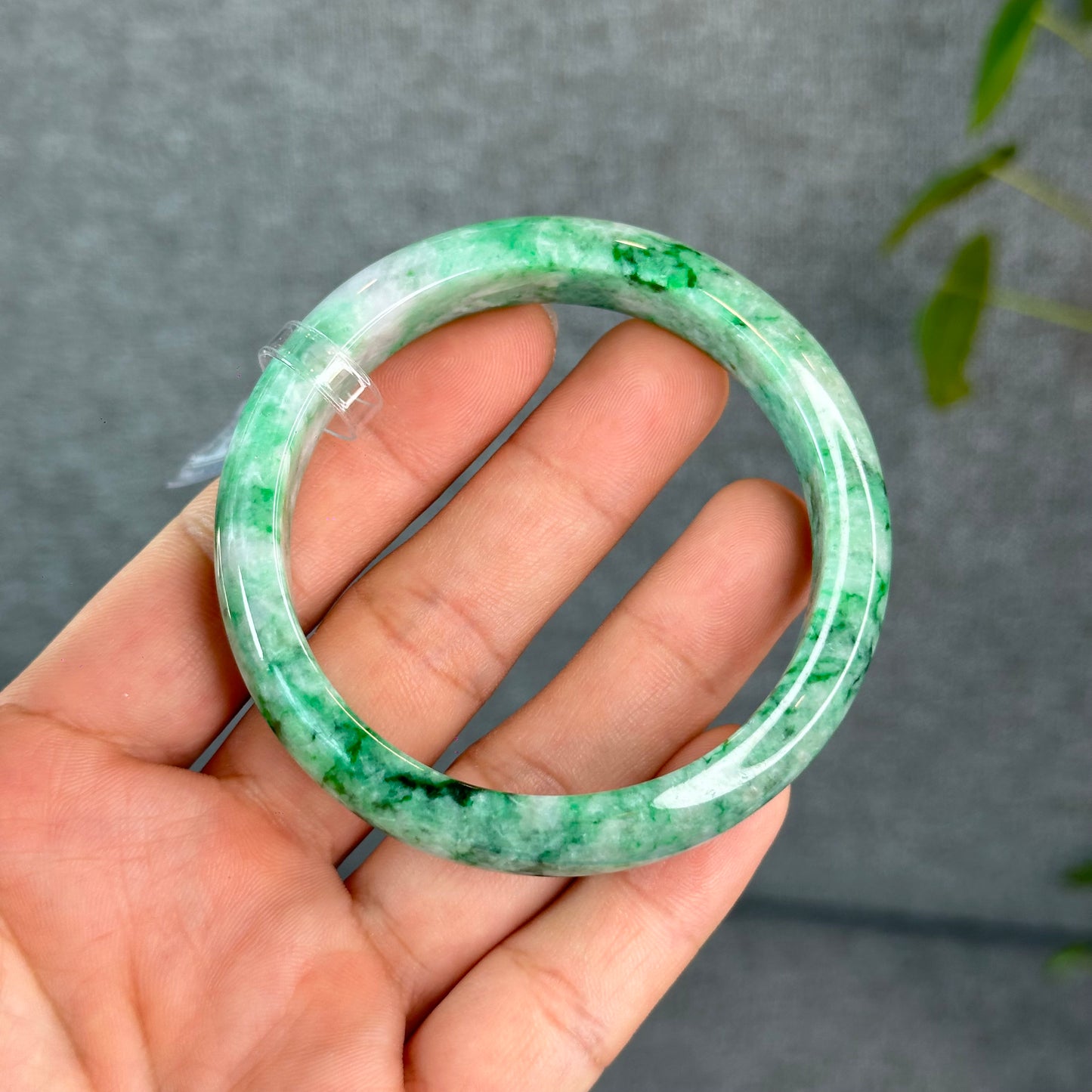 Natural Apple Green Jadeite Jade VIP Bangle Leaf Style Size 57 mm