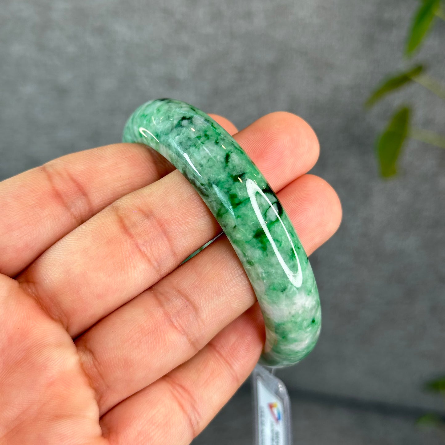Natural Apple Green Jadeite Jade VIP Bangle Leaf Style Size 57 mm
