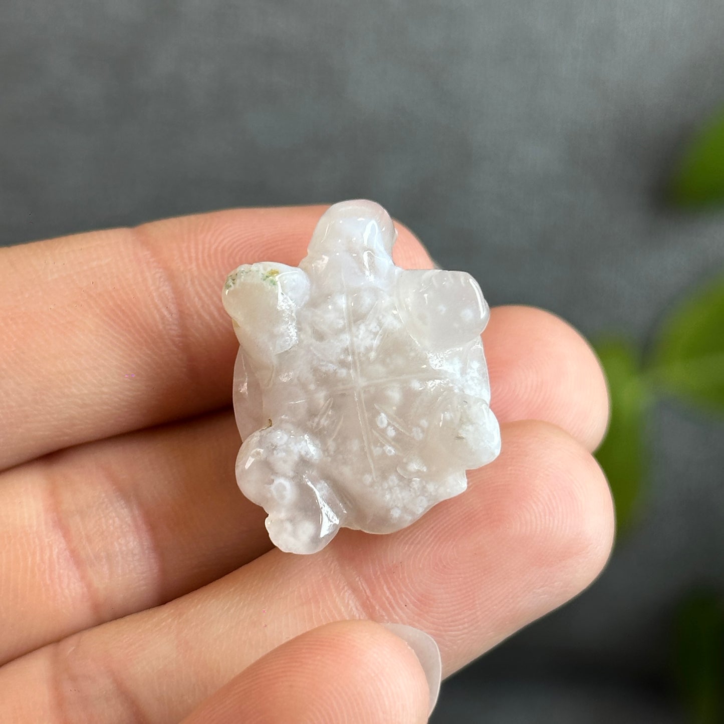 Natural Floral Agate Turtle Carving