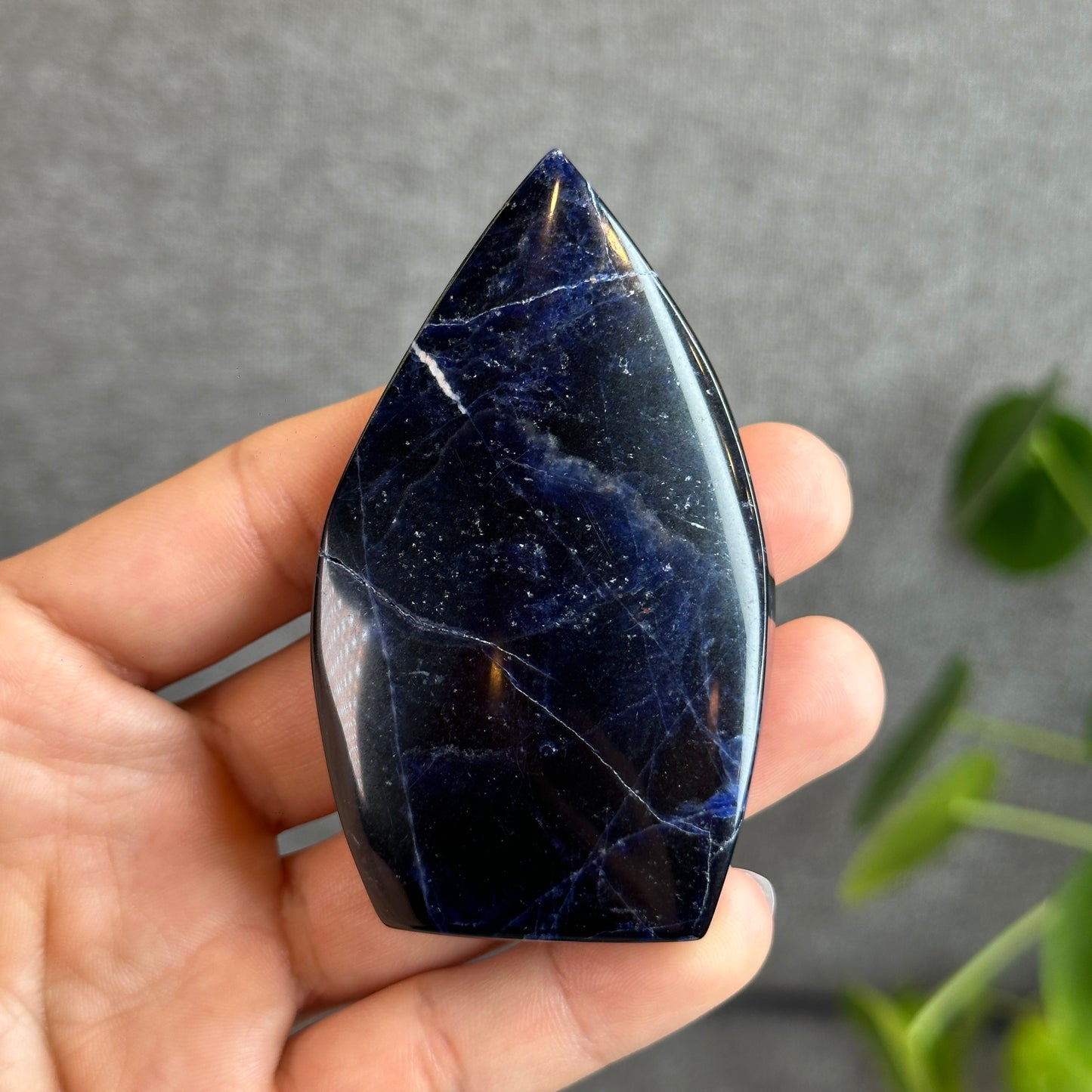 Natural Sodalite Free Form Specimen