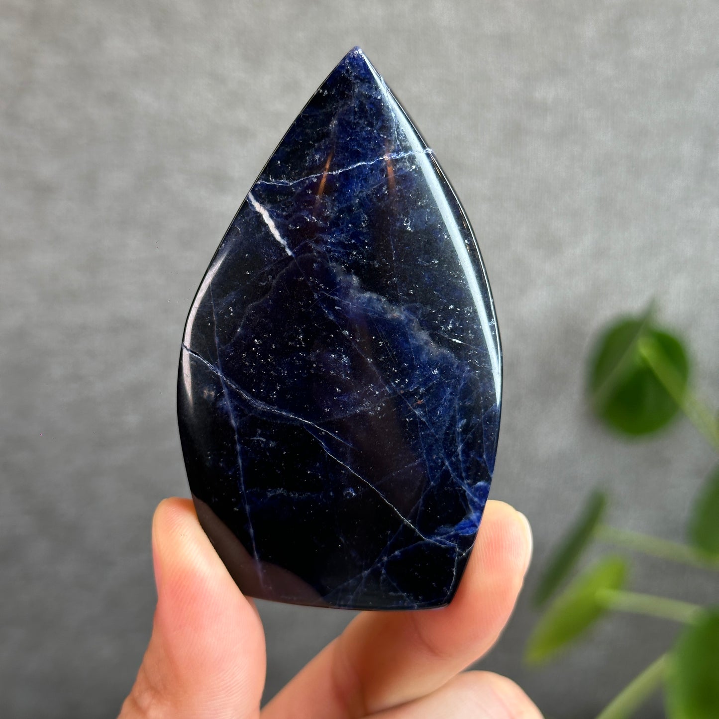 Natural Sodalite Free Form Specimen