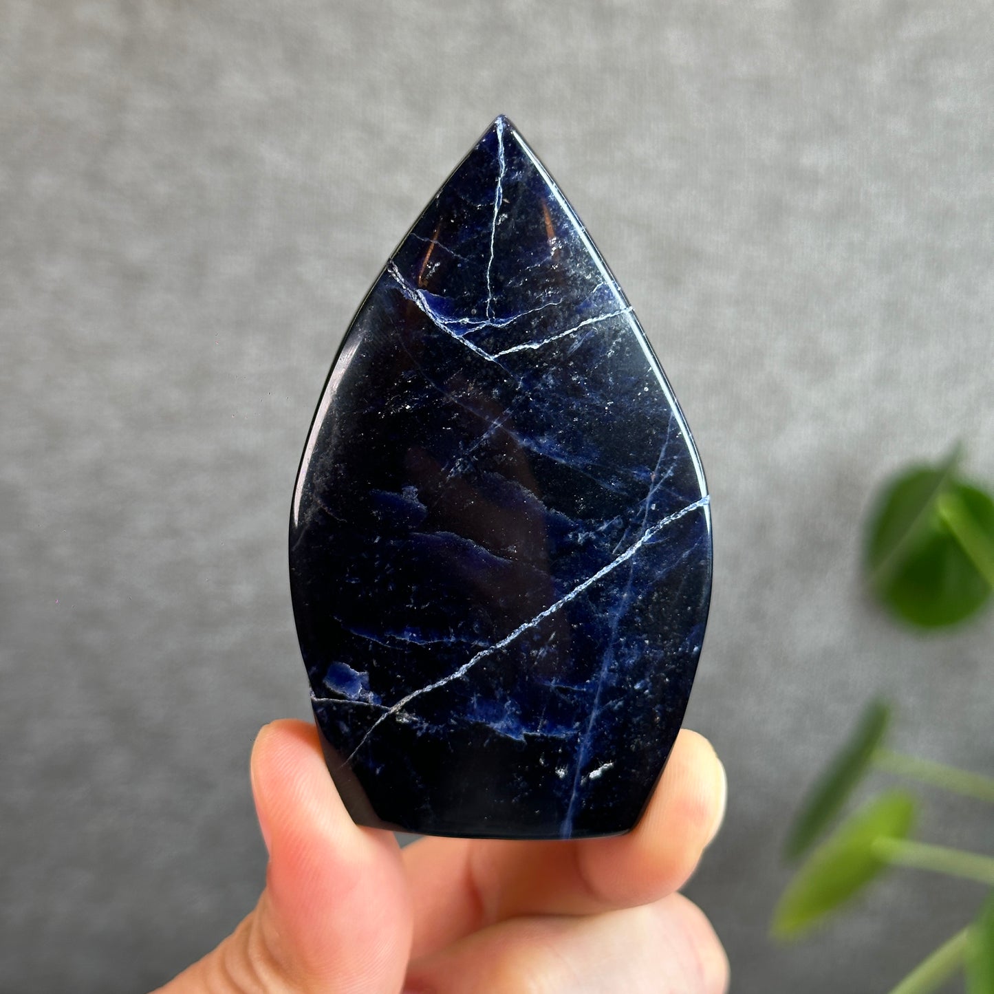 Natural Sodalite Free Form Specimen