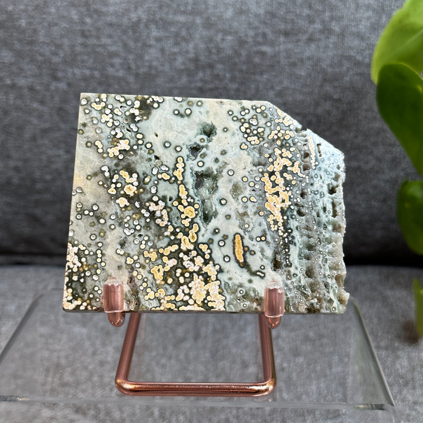 Natural Ocean Jasper Slab