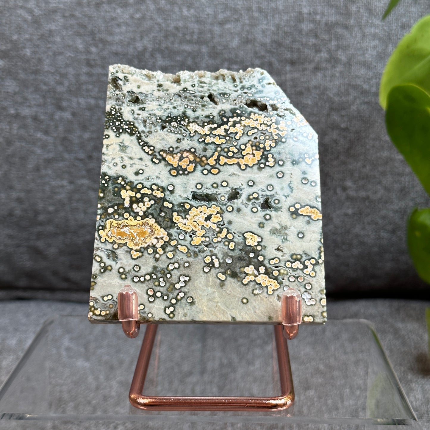 Natural Ocean Jasper Slab