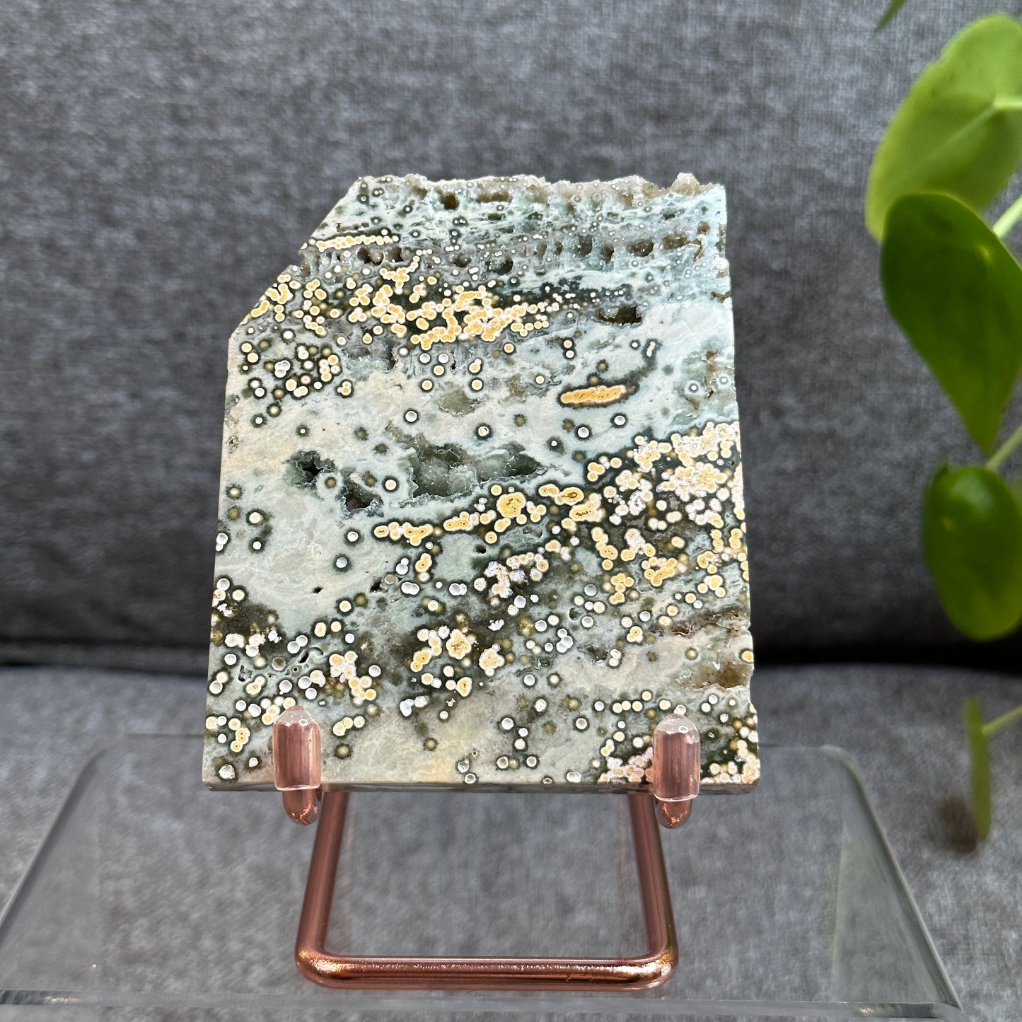 Natural Ocean Jasper Slab