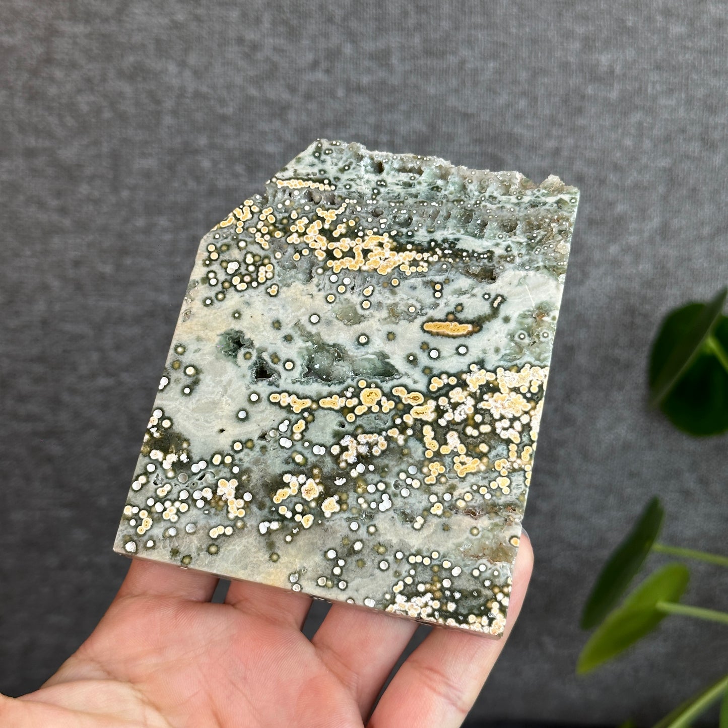 Natural Ocean Jasper Slab