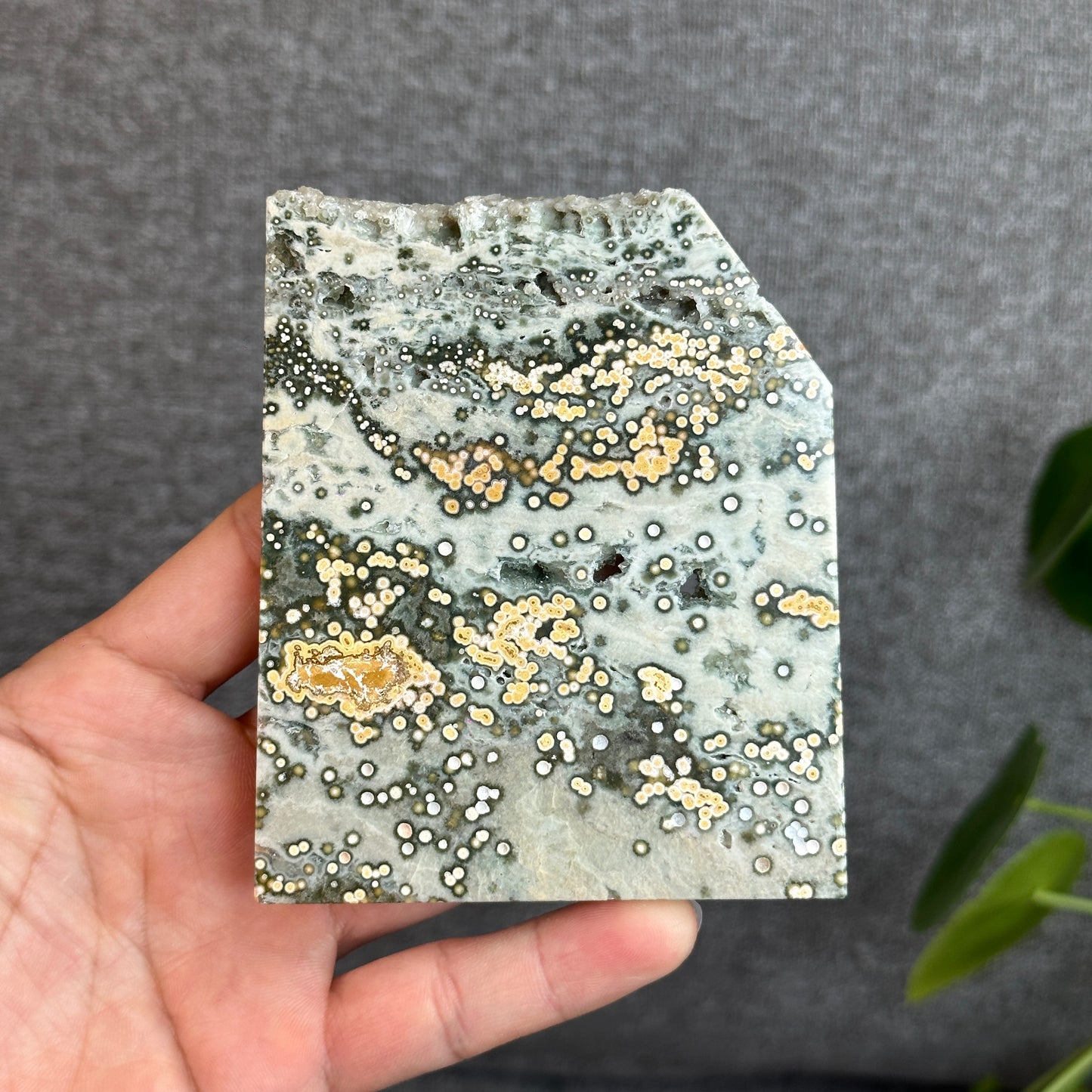 Natural Ocean Jasper Slab