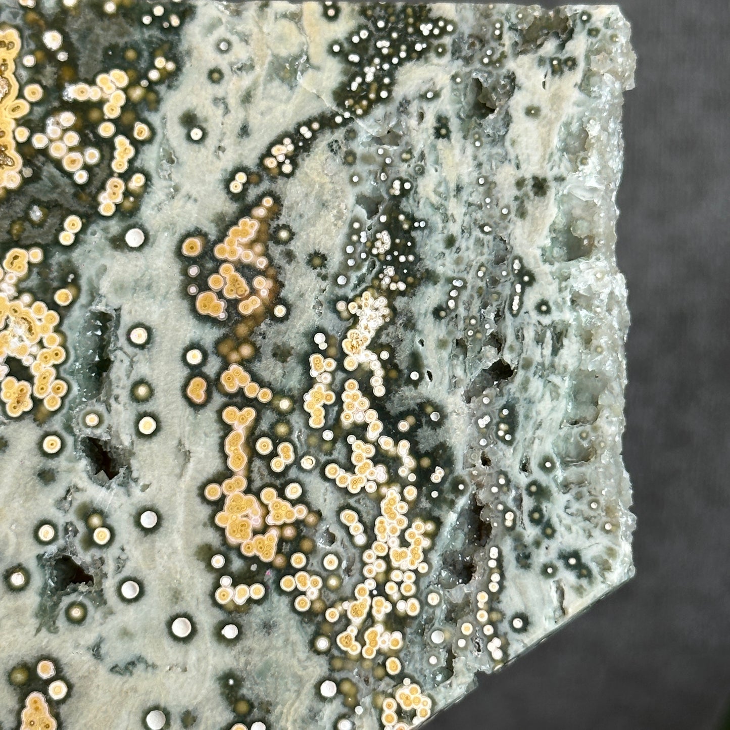 Natural Ocean Jasper Slab