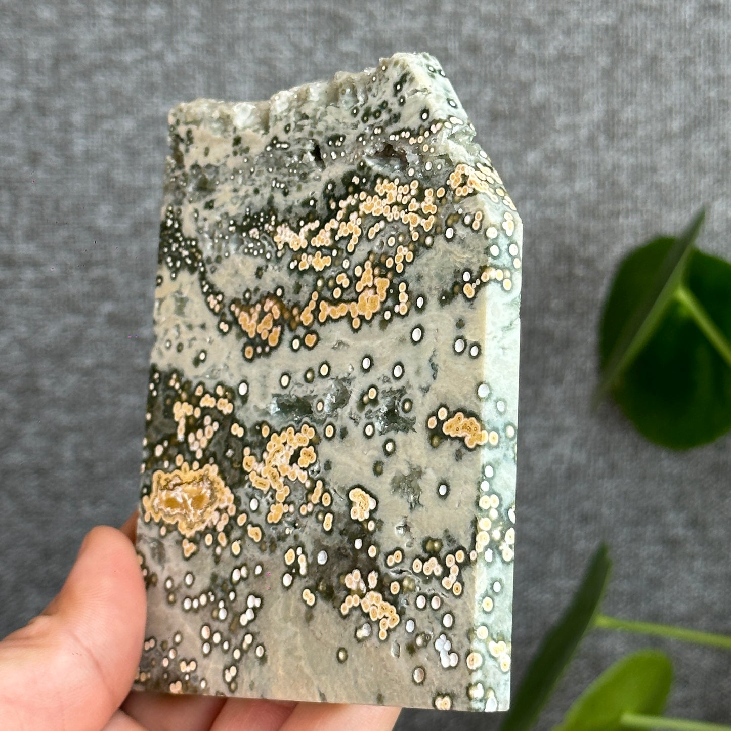 Natural Ocean Jasper Slab