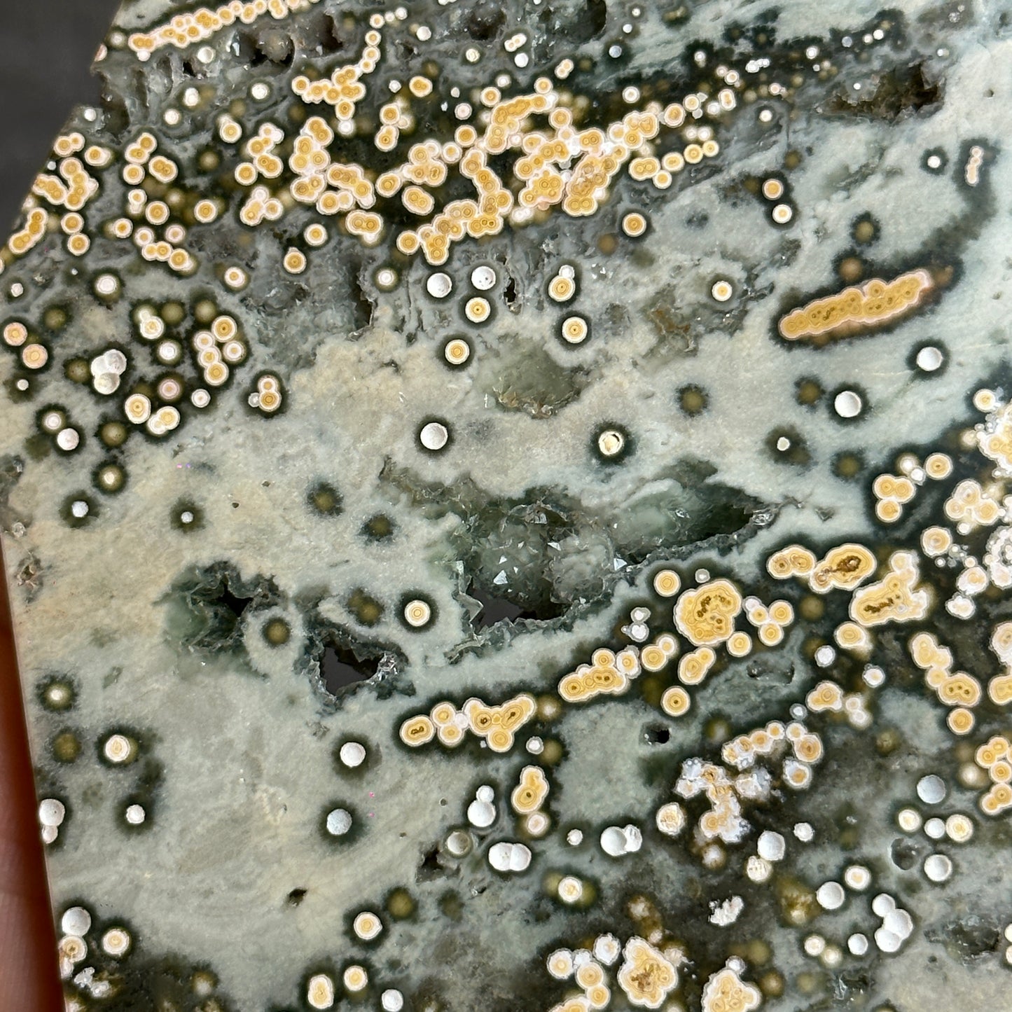 Natural Ocean Jasper Slab