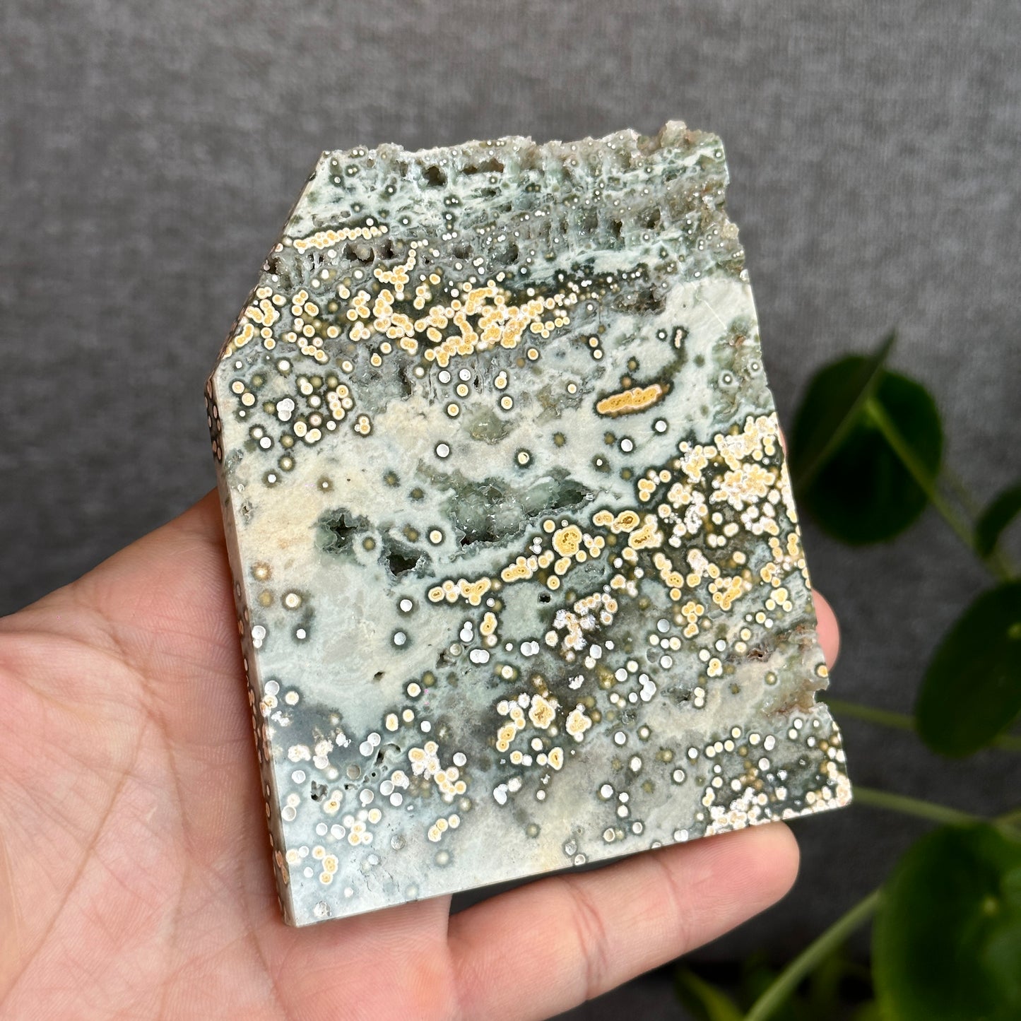 Natural Ocean Jasper Slab