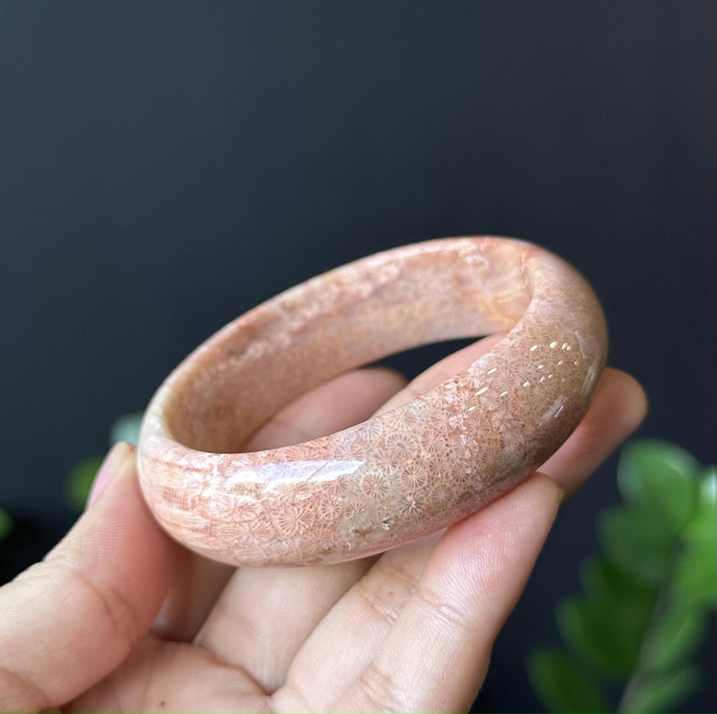 Natural Coral Bangle Leaf Style Sie 57 mm