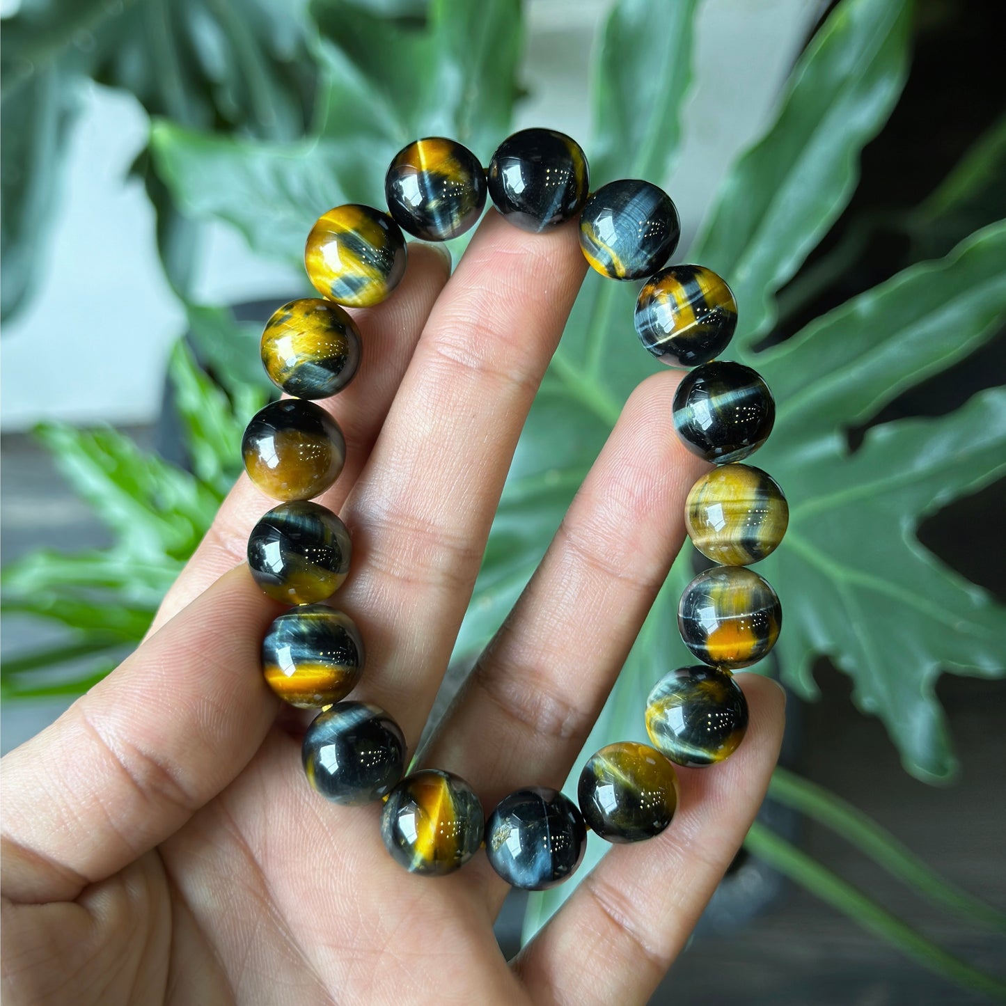 Natural Eagle Eye VIP Bracelet Size 12 mm