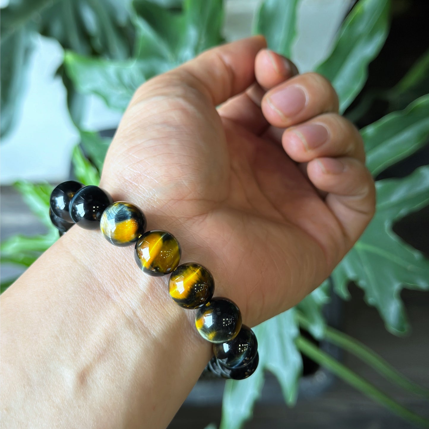 Natural Eagle Eye VIP Bracelet Size 12 mm