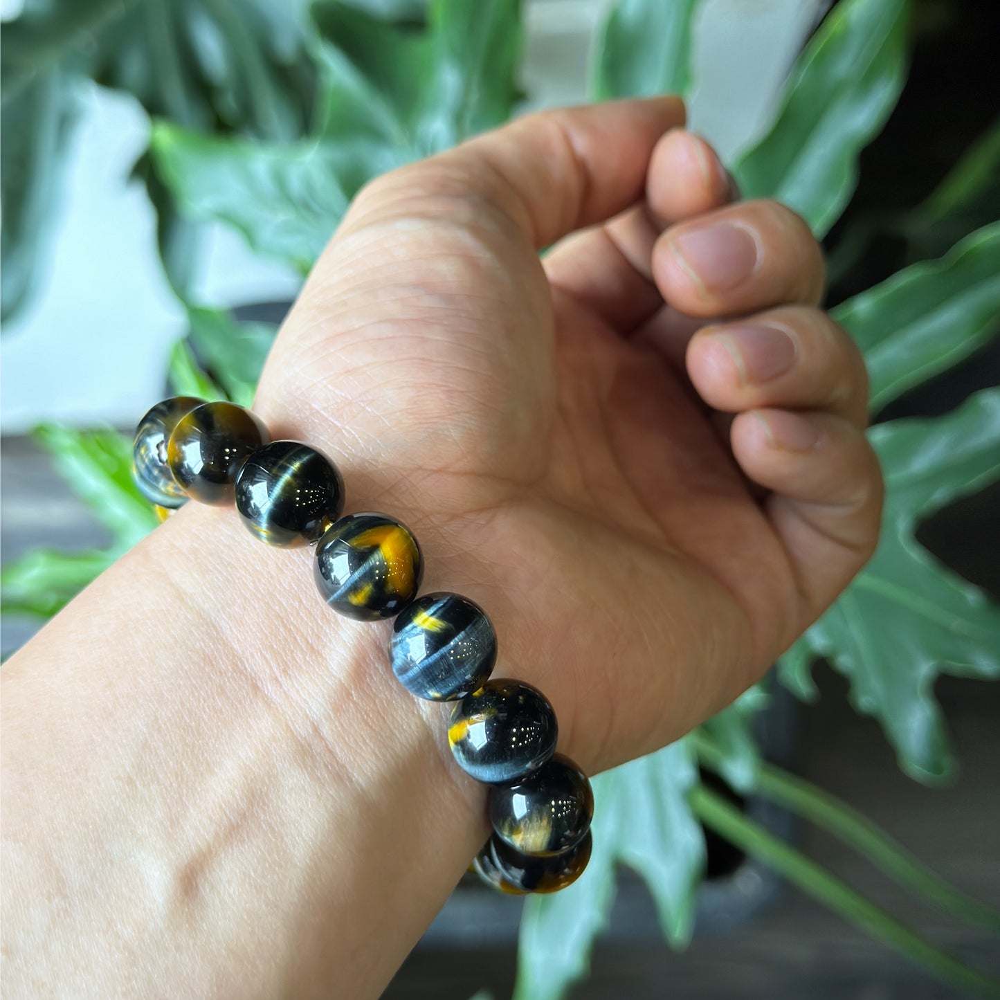 Natural Eagle Eye VIP Bracelet Size 12 mm