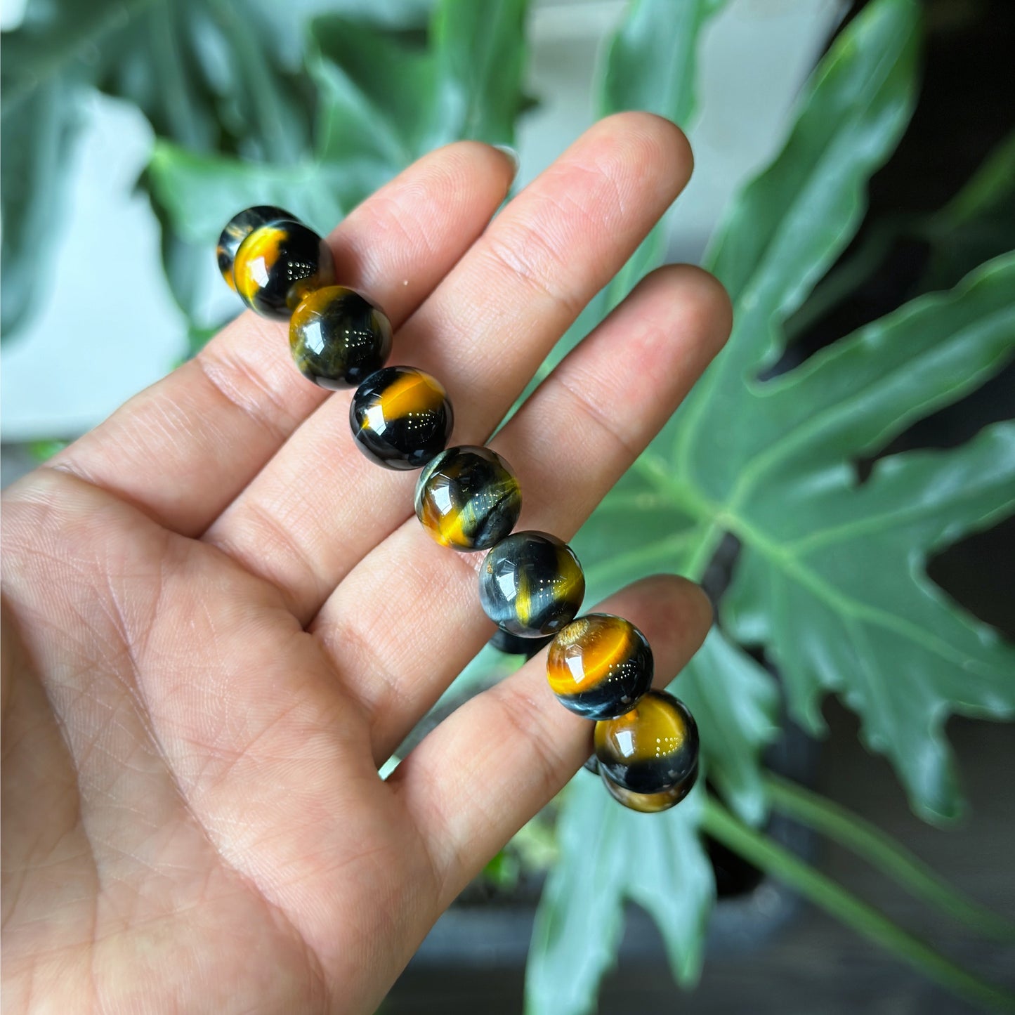 Natural Eagle Eye VIP Bracelet Size 12 mm