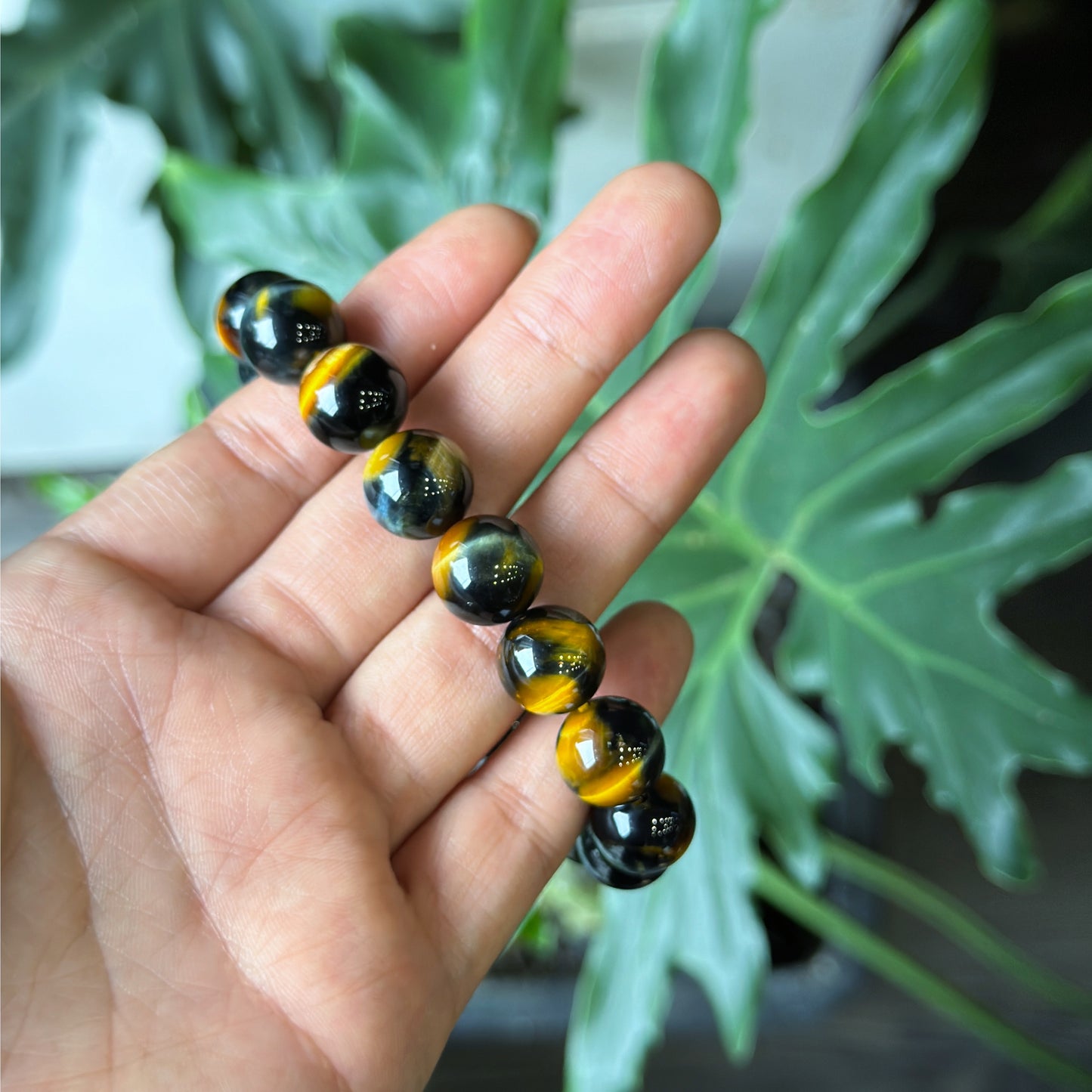 Natural Eagle Eye VIP Bracelet Size 12 mm