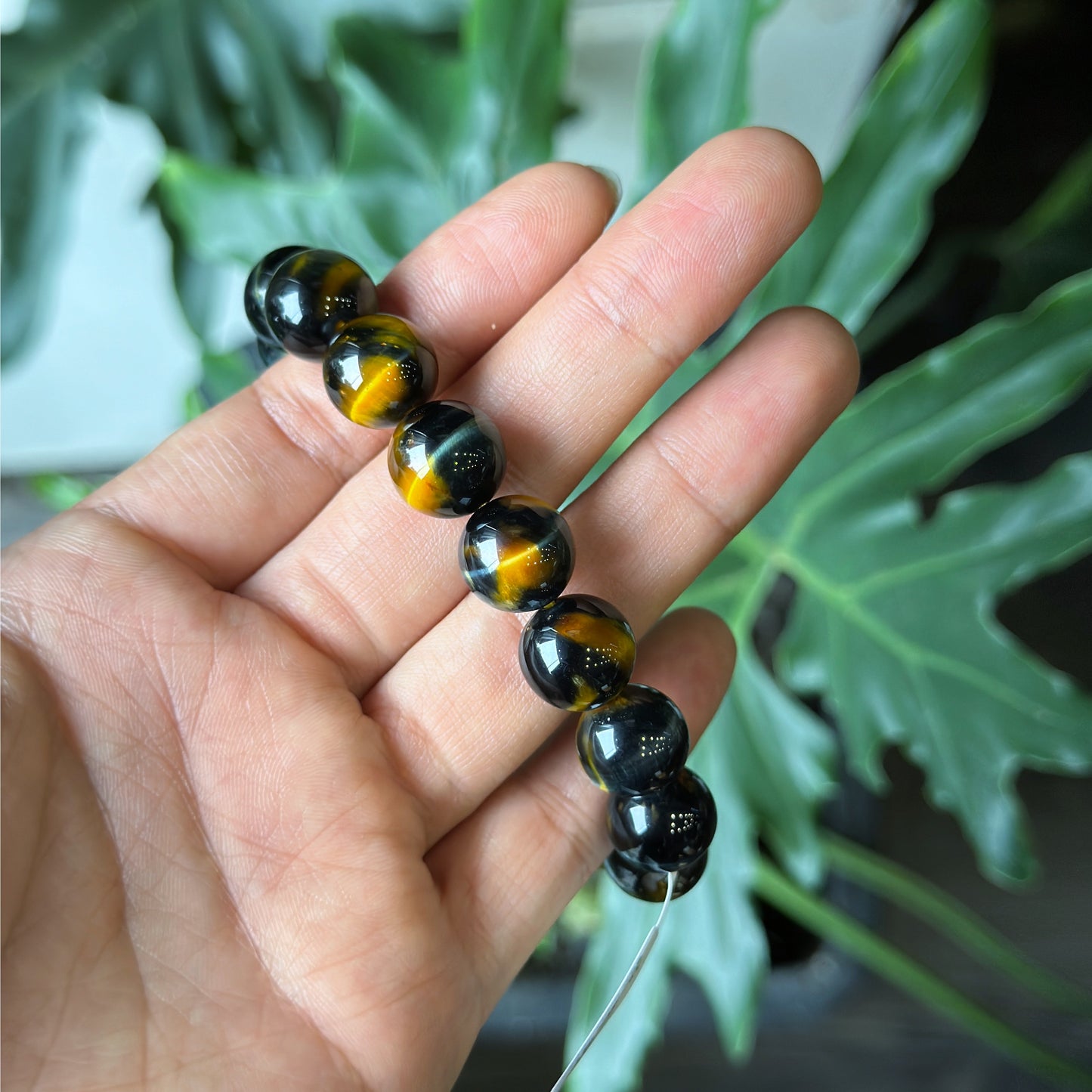 Natural Eagle Eye VIP Bracelet Size 12 mm