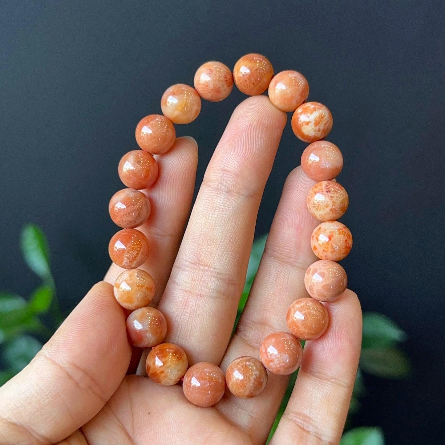 Natural Coral Fossil Bracelet Size 10 mm