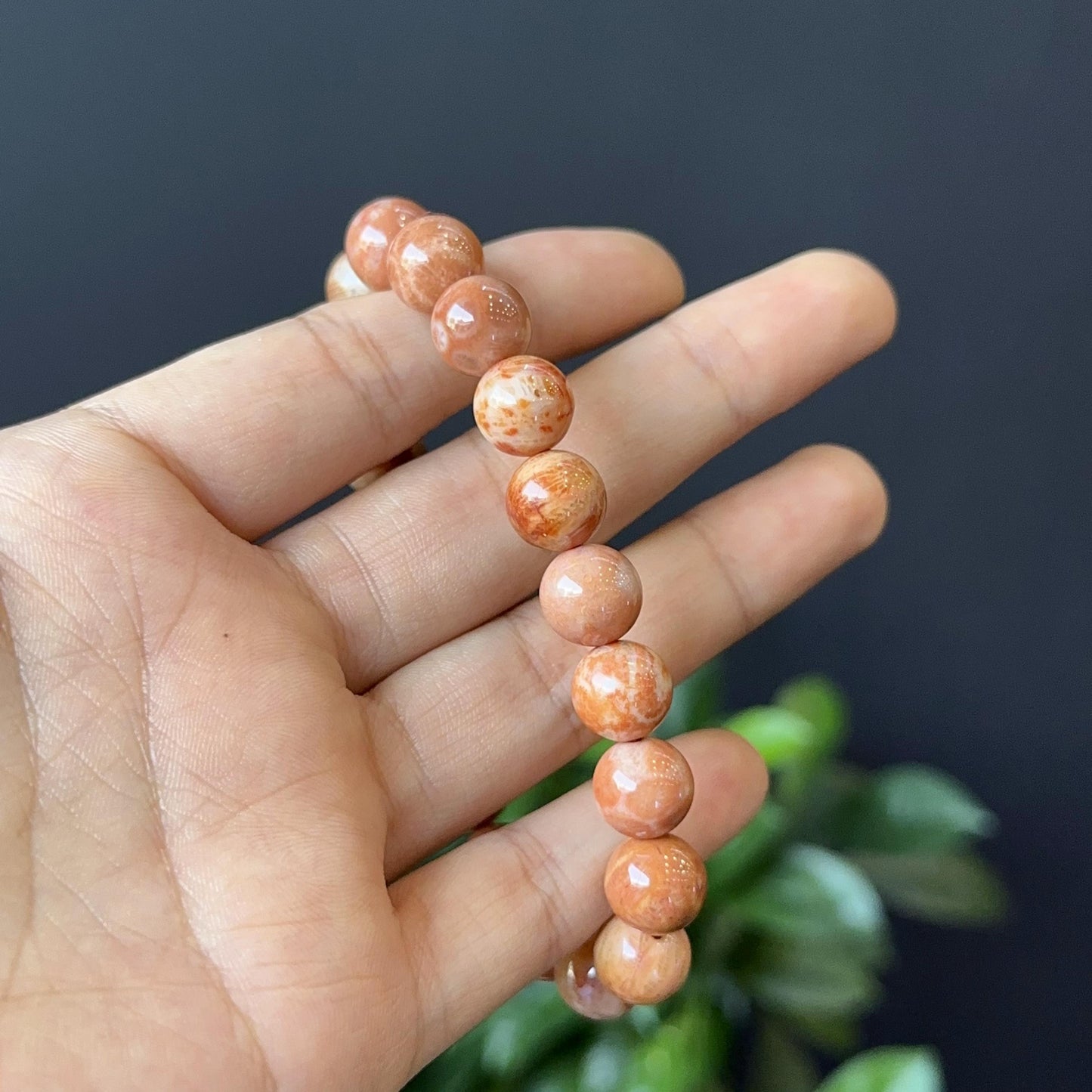 Natural Coral Fossil Bracelet Size 10 mm