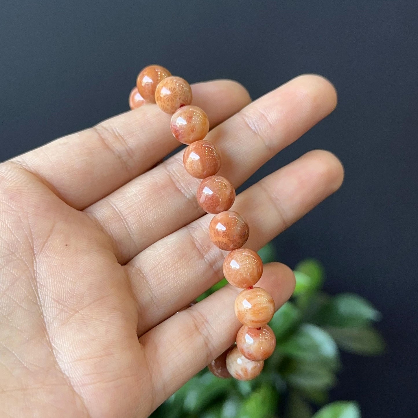 Natural Coral Fossil Bracelet Size 10 mm