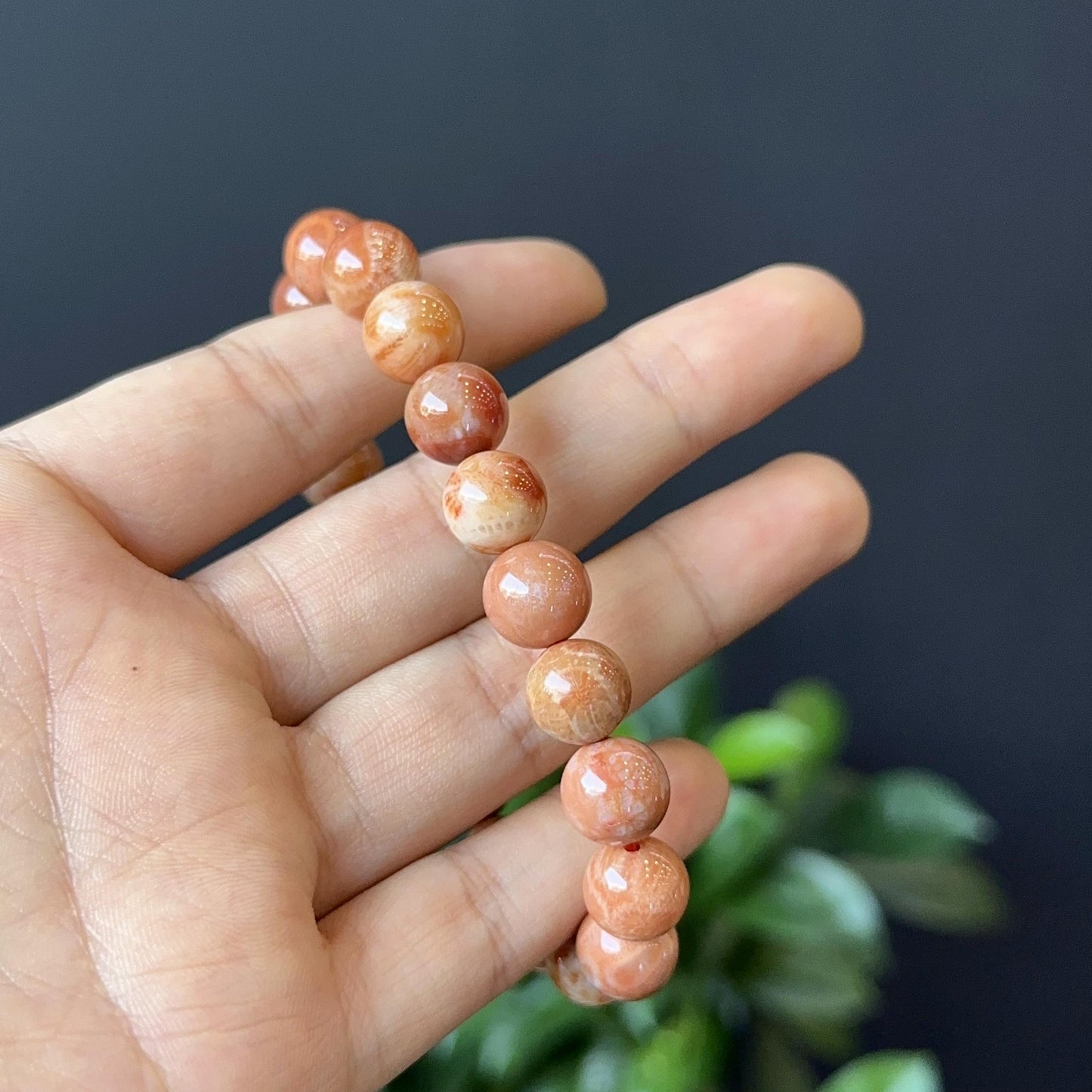 Natural Coral Fossil Bracelet Size 10 mm