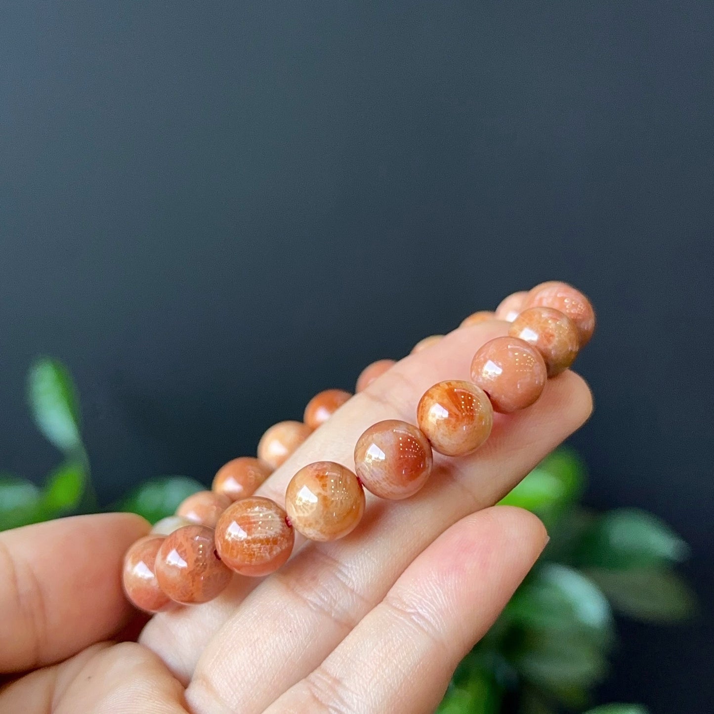 Natural Coral Fossil Bracelet Size 10 mm