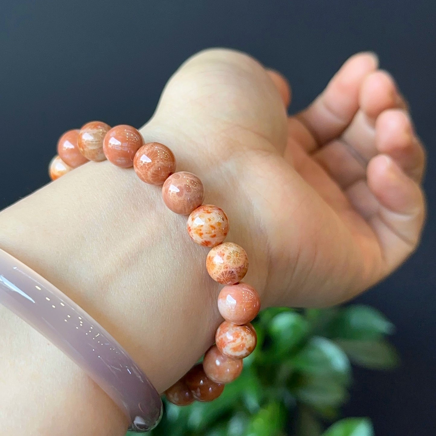Natural Coral Fossil Bracelet Size 10 mm