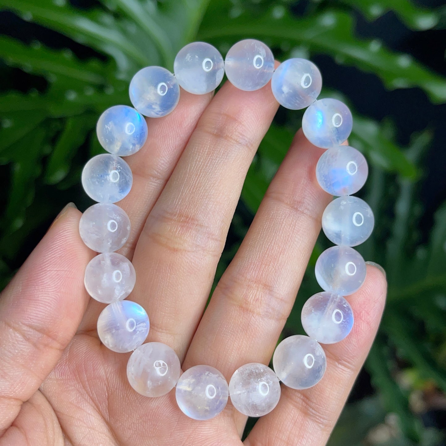 Natural Moonstone VIP Bracelet Size 11 mm
