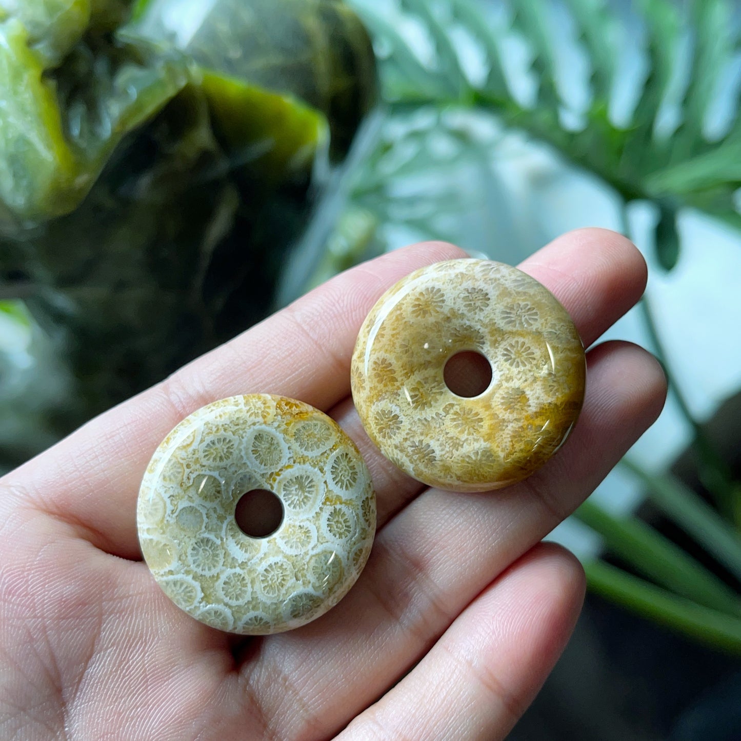 Natural Dong Dieu Coral Pendant