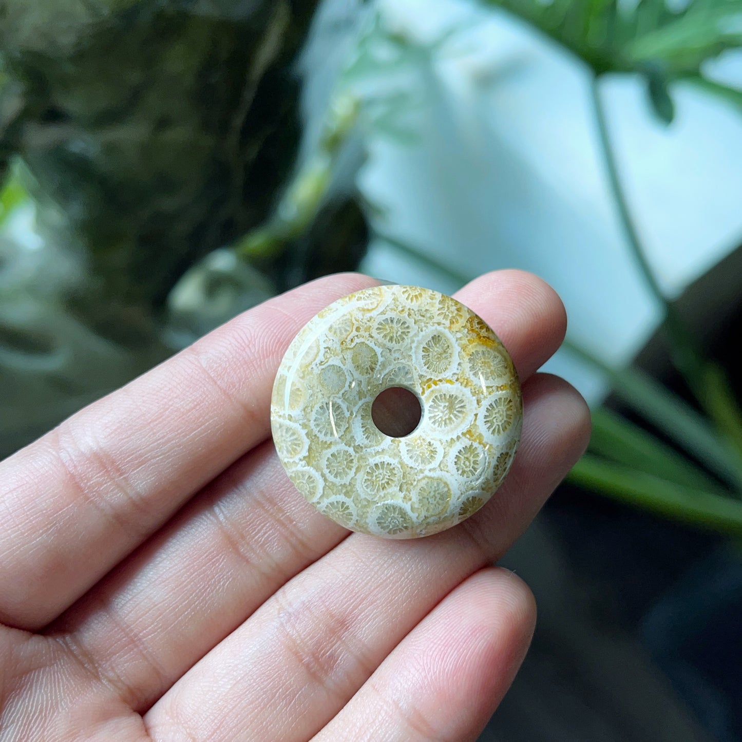 Natural Dong Dieu Coral Pendant