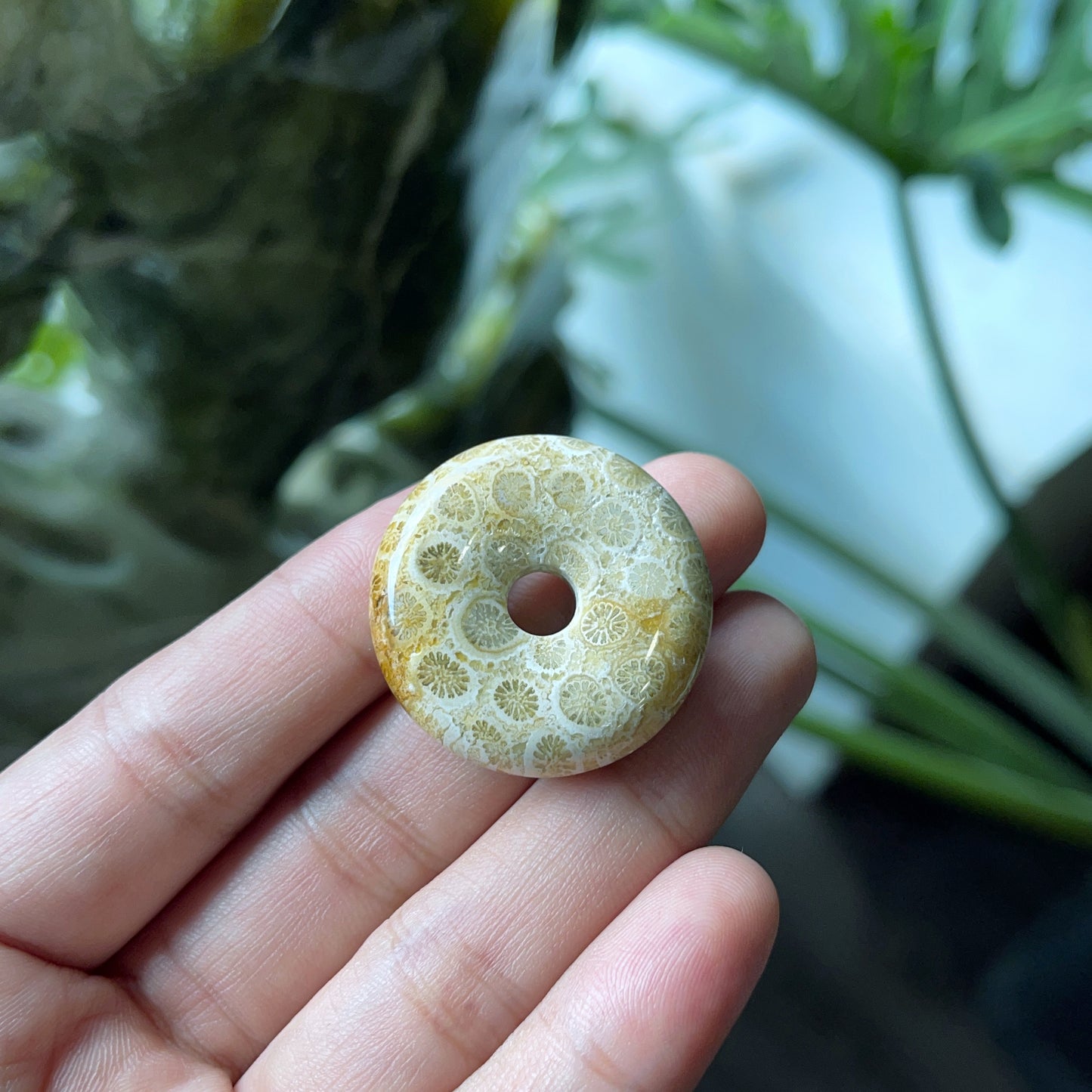 Natural Dong Dieu Coral Pendant