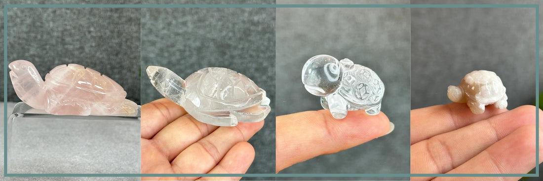 💚🌿 The Wisdom of the Turtle: Patience, Protection, and Steady Success