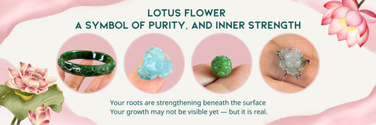 The Lotus Flower: A Living Symbol of Inner Strength, Purity, and Awakening