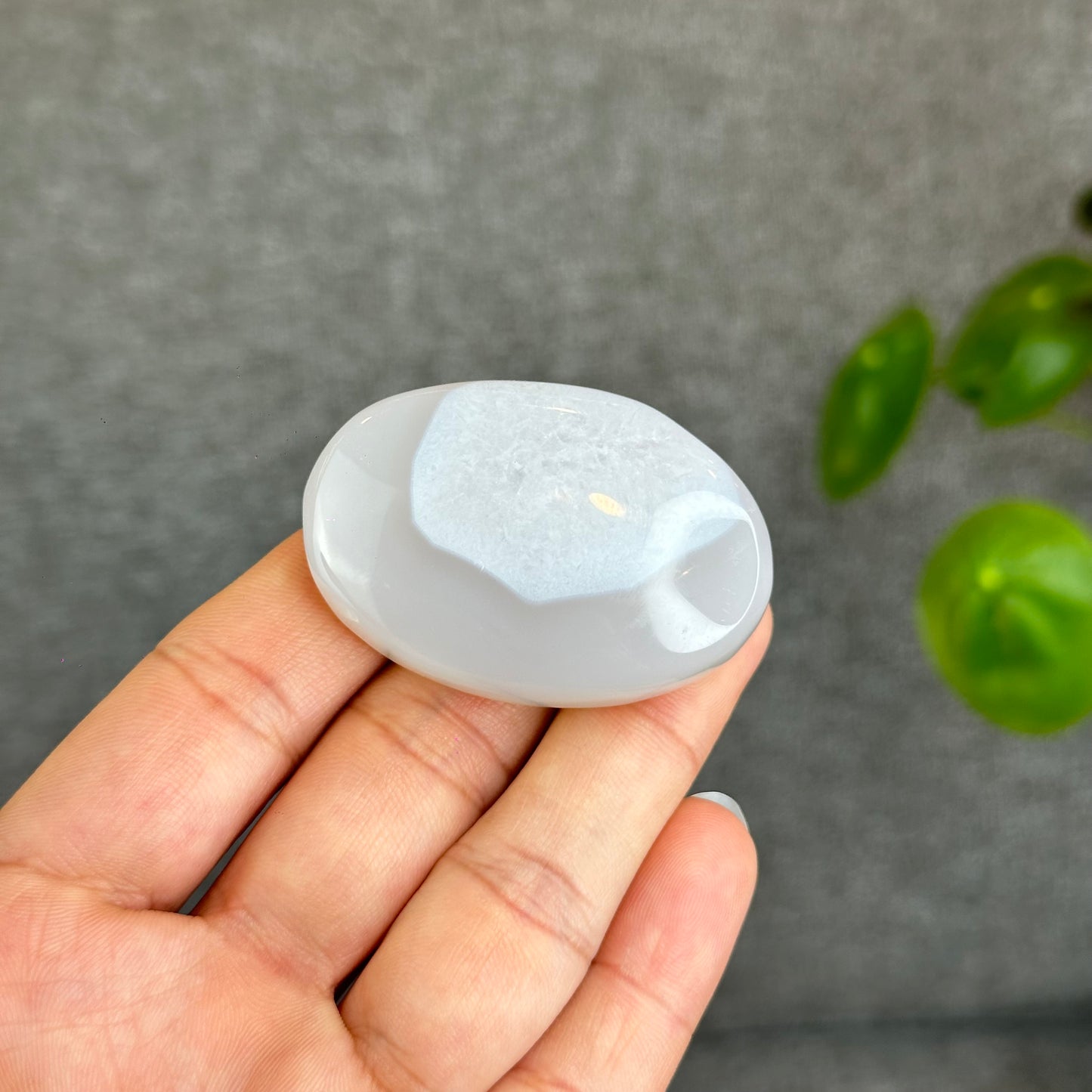 Natural Agate Palm Stone