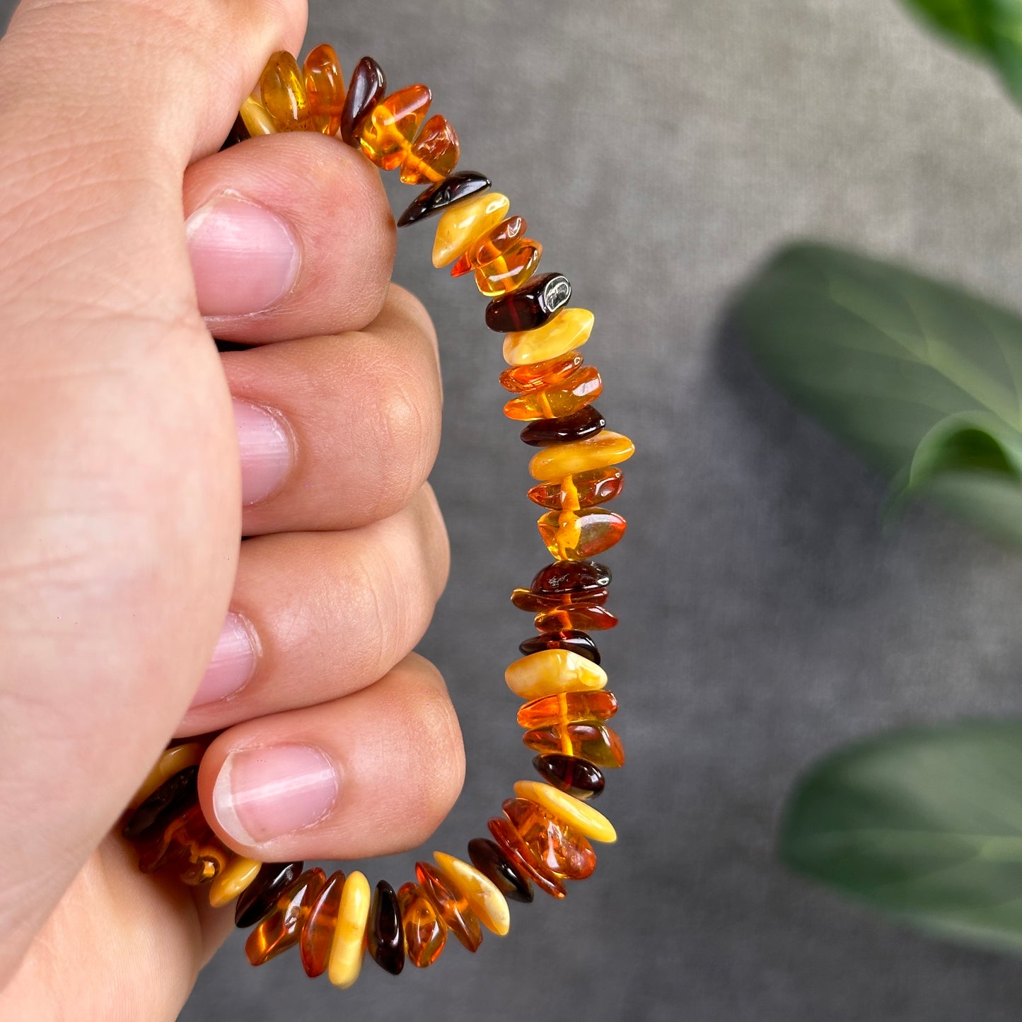 Multi Colour Amber Bracelet Size