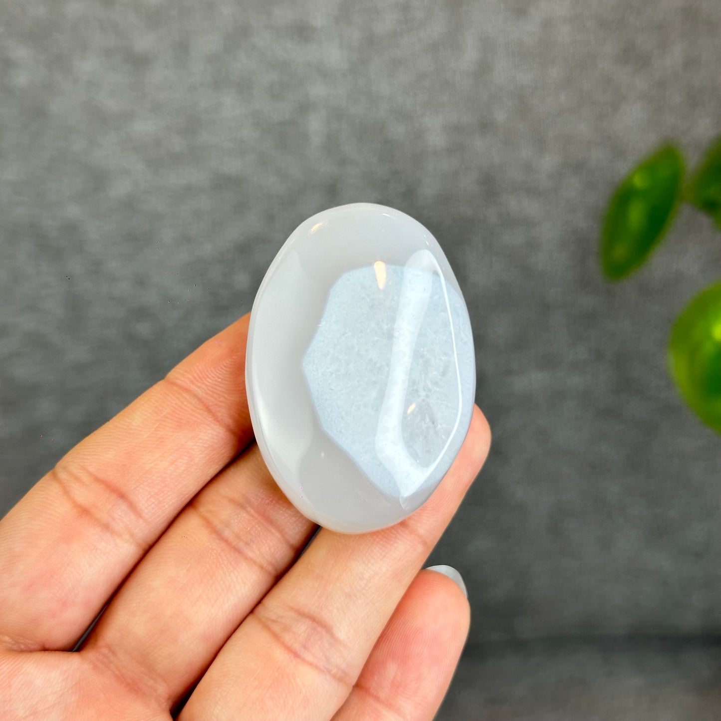 Natural Agate Palm Stone