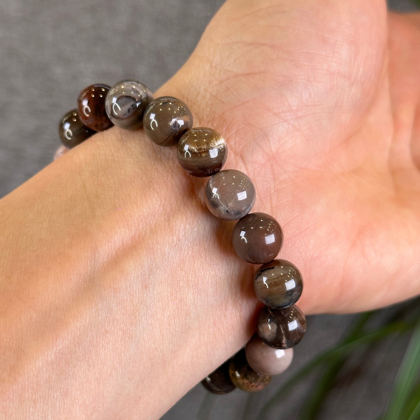 Natural Wood Fossil Bracelet Size 10 mm