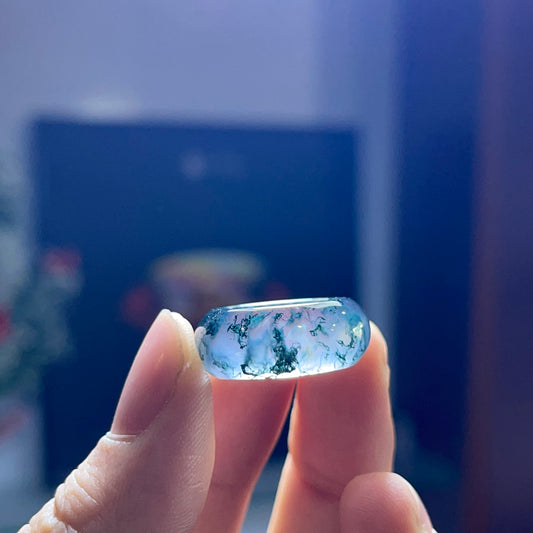 Bague Agate Mousse Taille 1.5