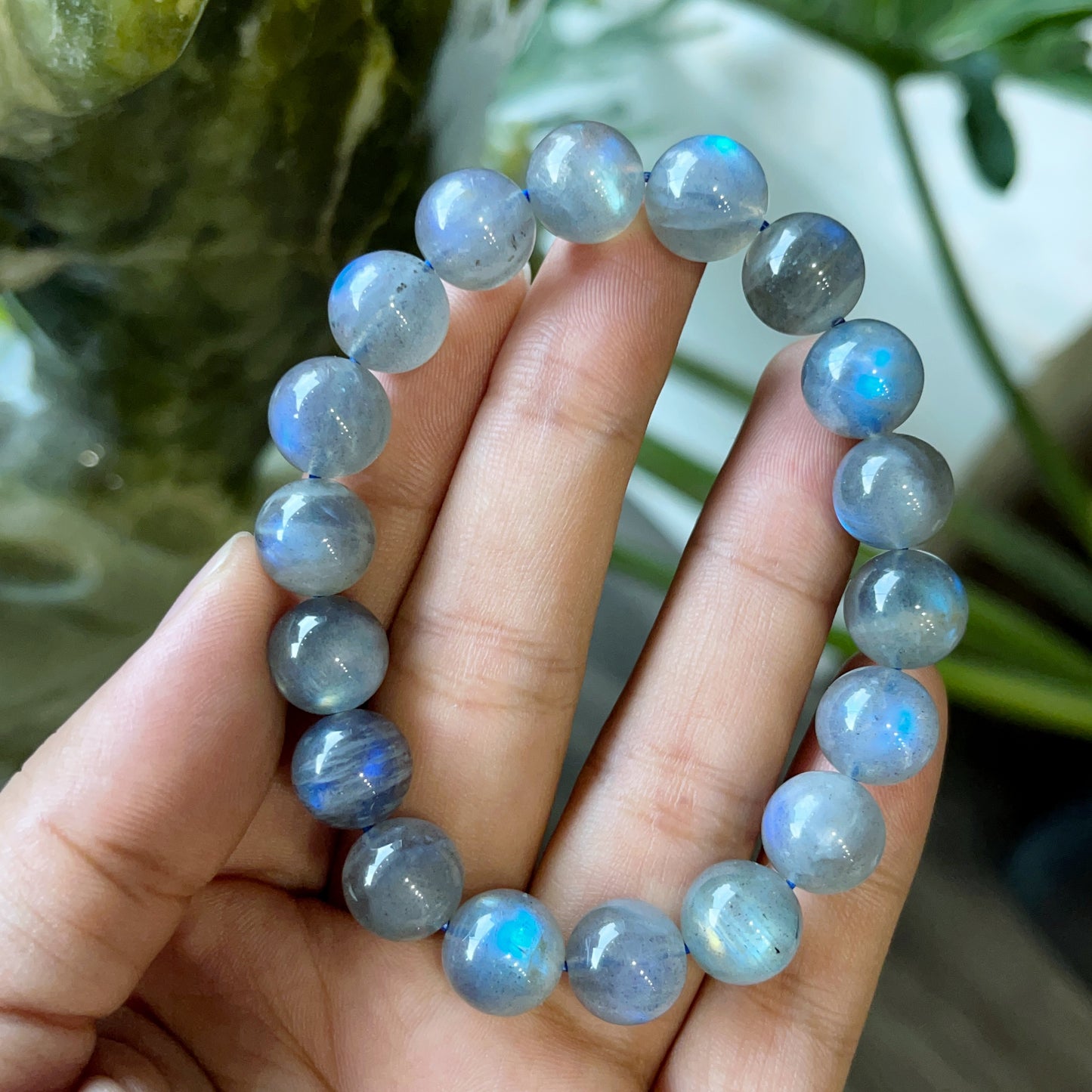 Labradorite VIP Bracelet Size 10 mm