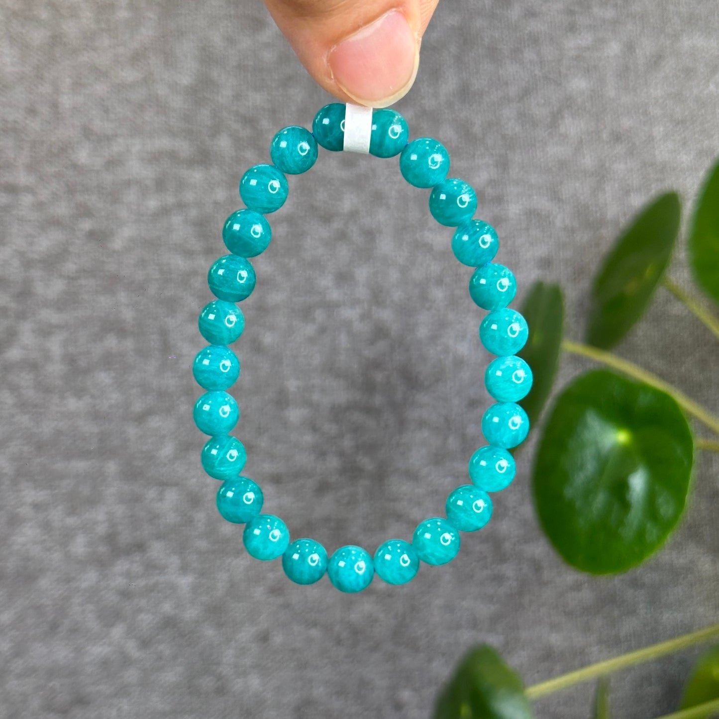 Amazonite Bracelet 7.5 mm