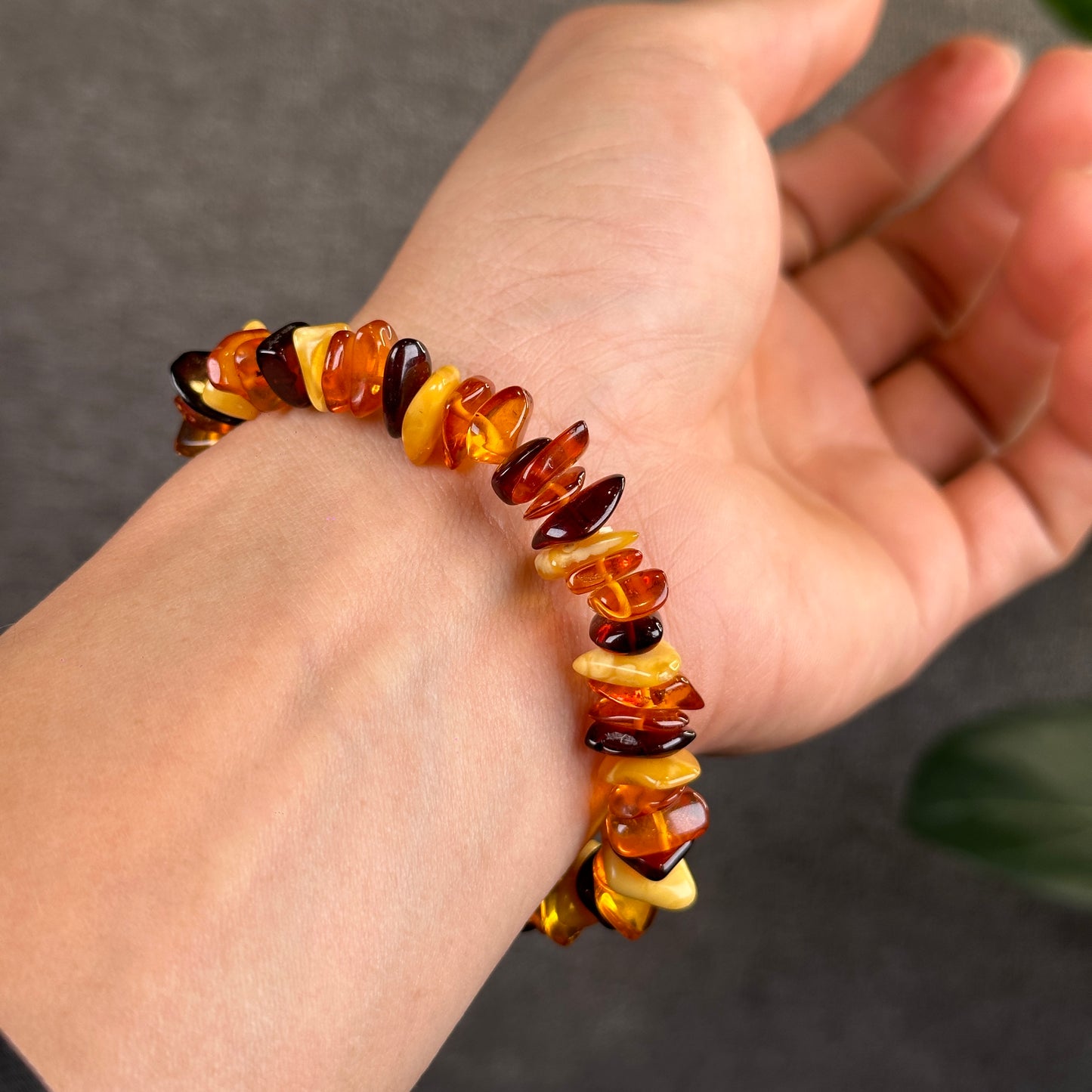 Multi Colour Amber Bracelet Size