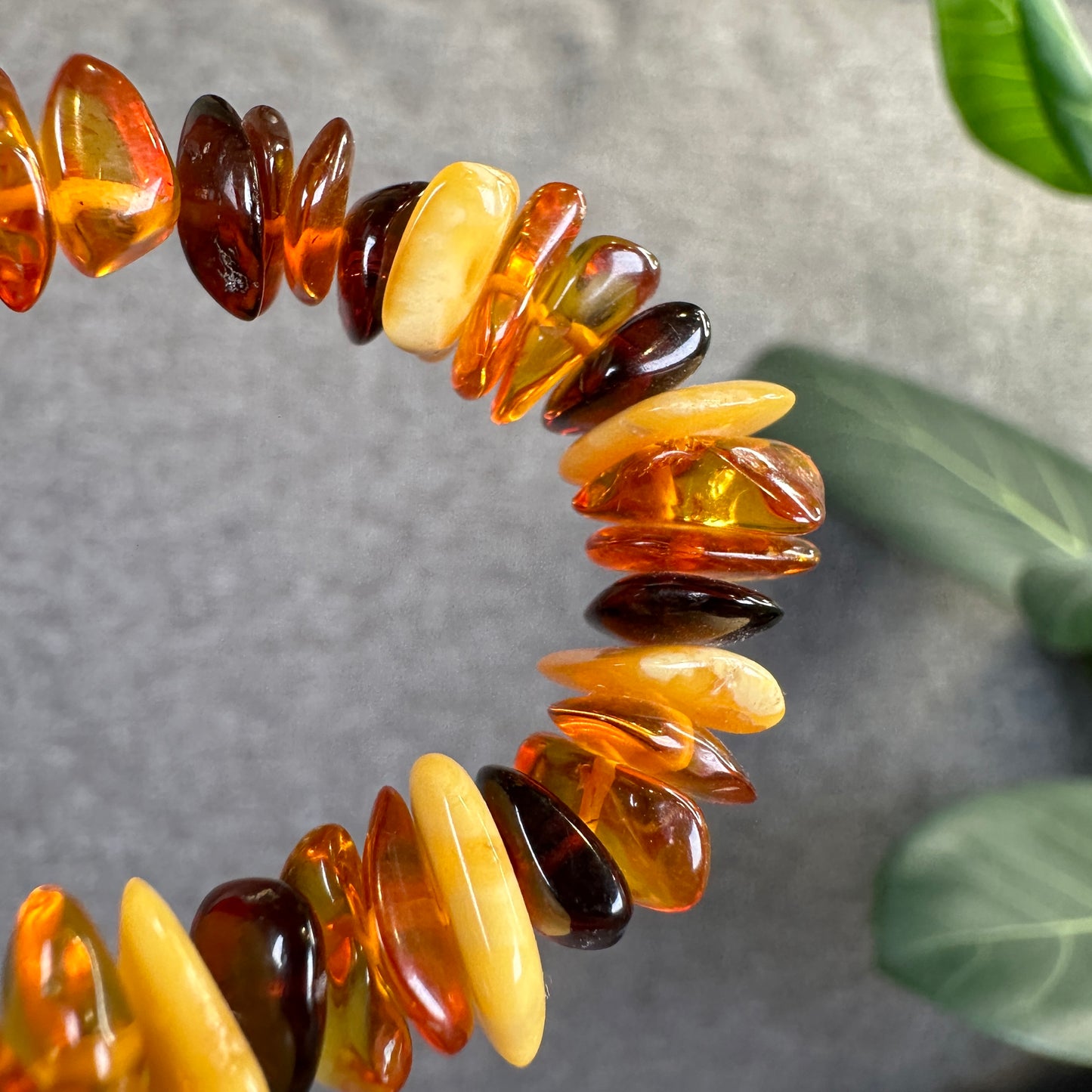 Multi Colour Amber Bracelet Size