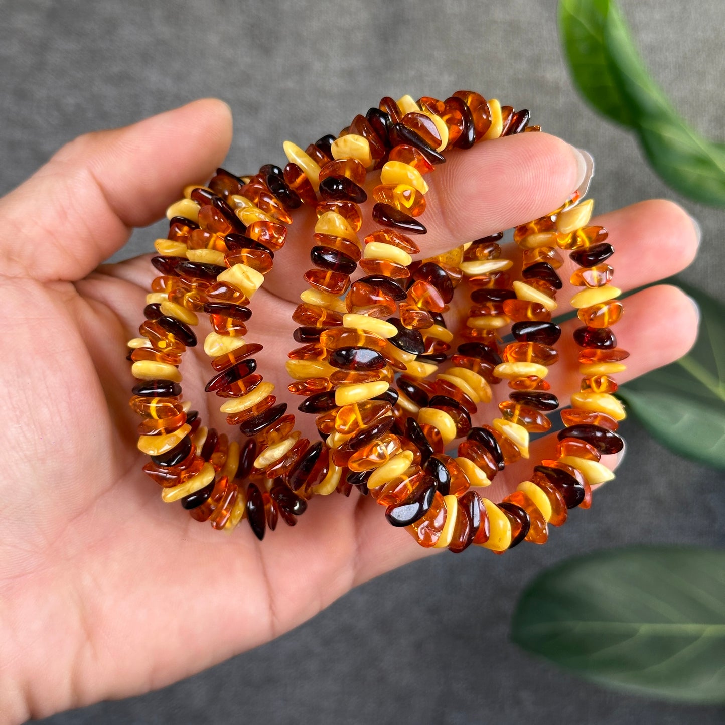 Multi Colour Amber Bracelet Size